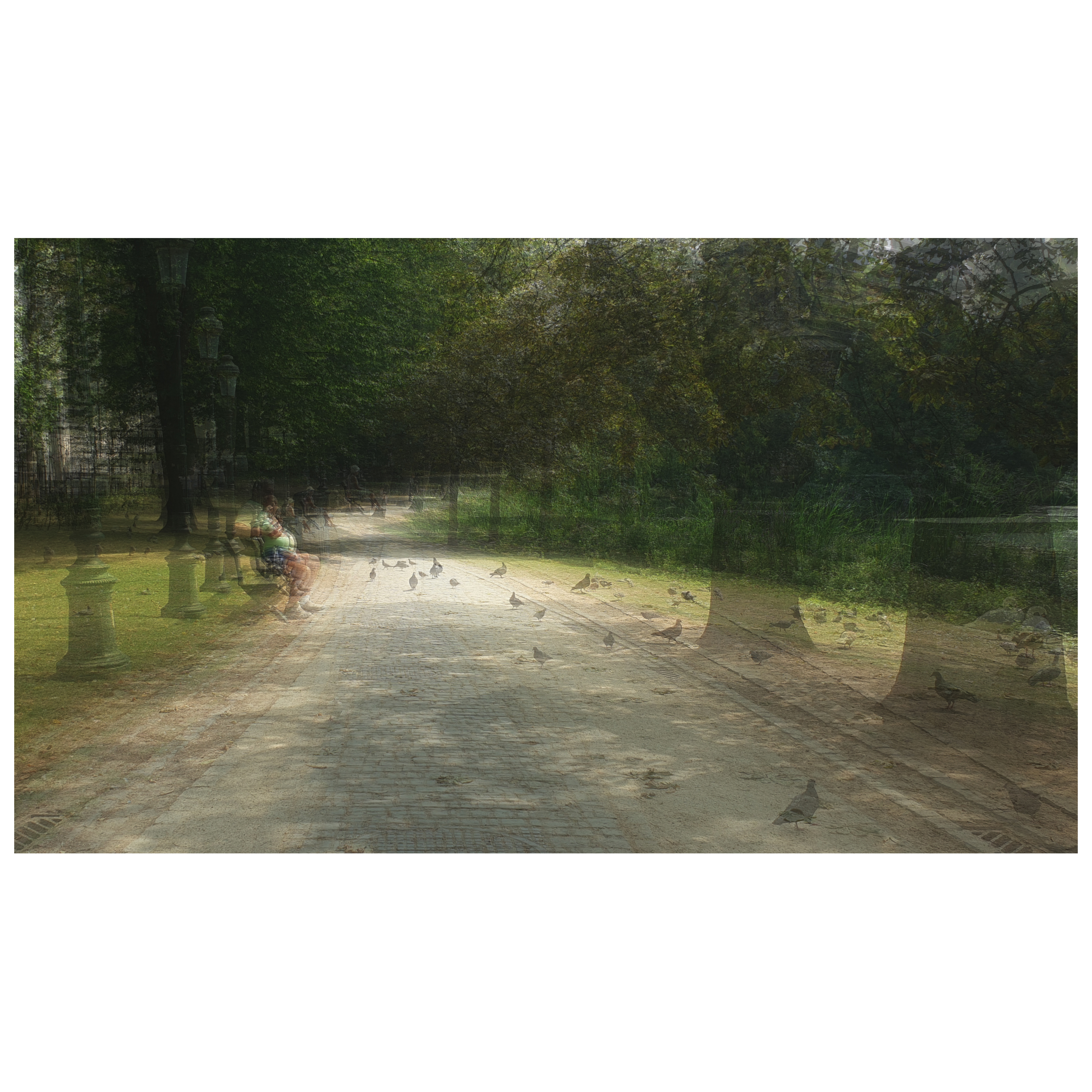 A multilayered photo of a solitary man in a park