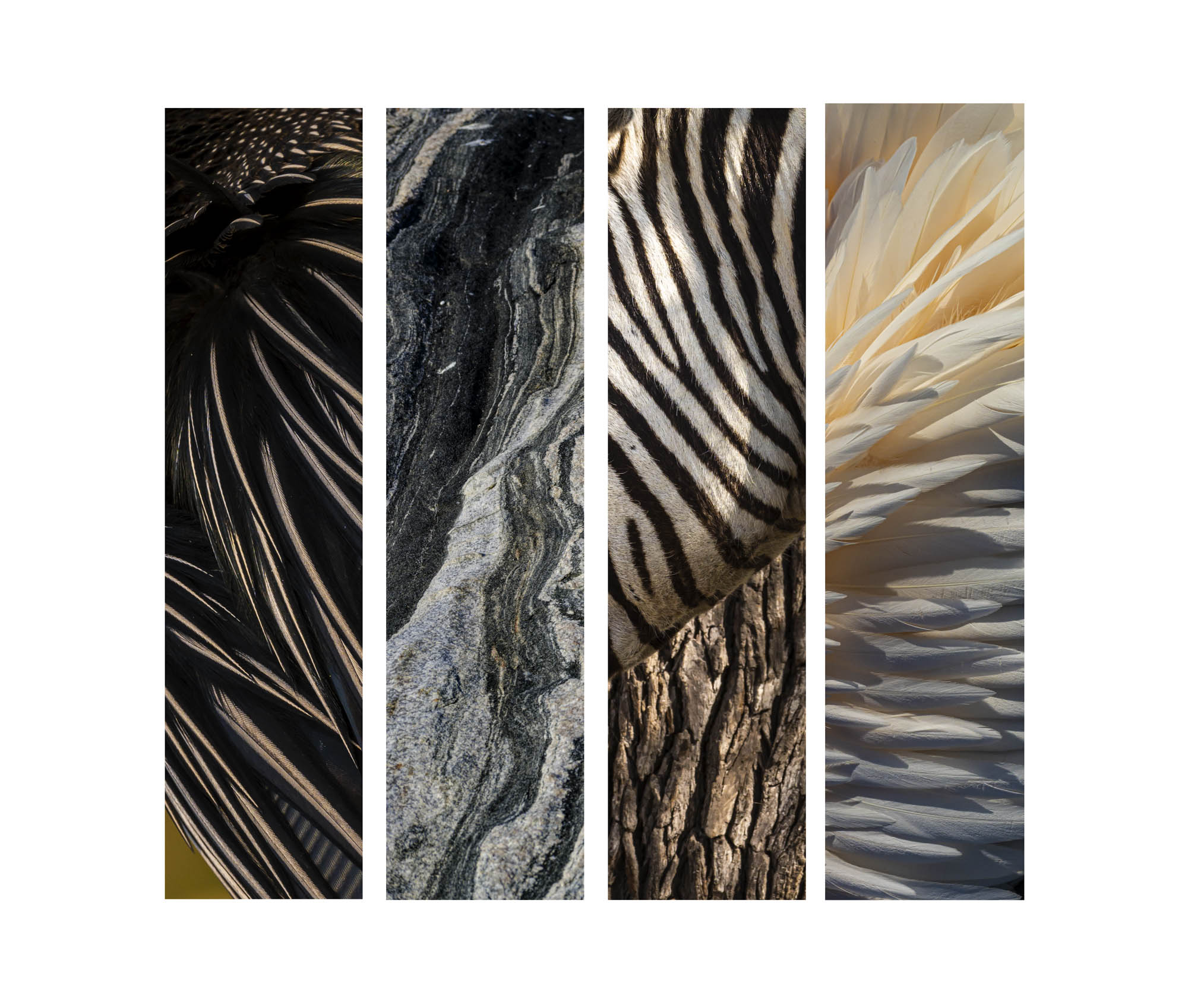 African feathers - composition de 4 verticalités qui vous emmène dans les terres lointaines de l'Afrique