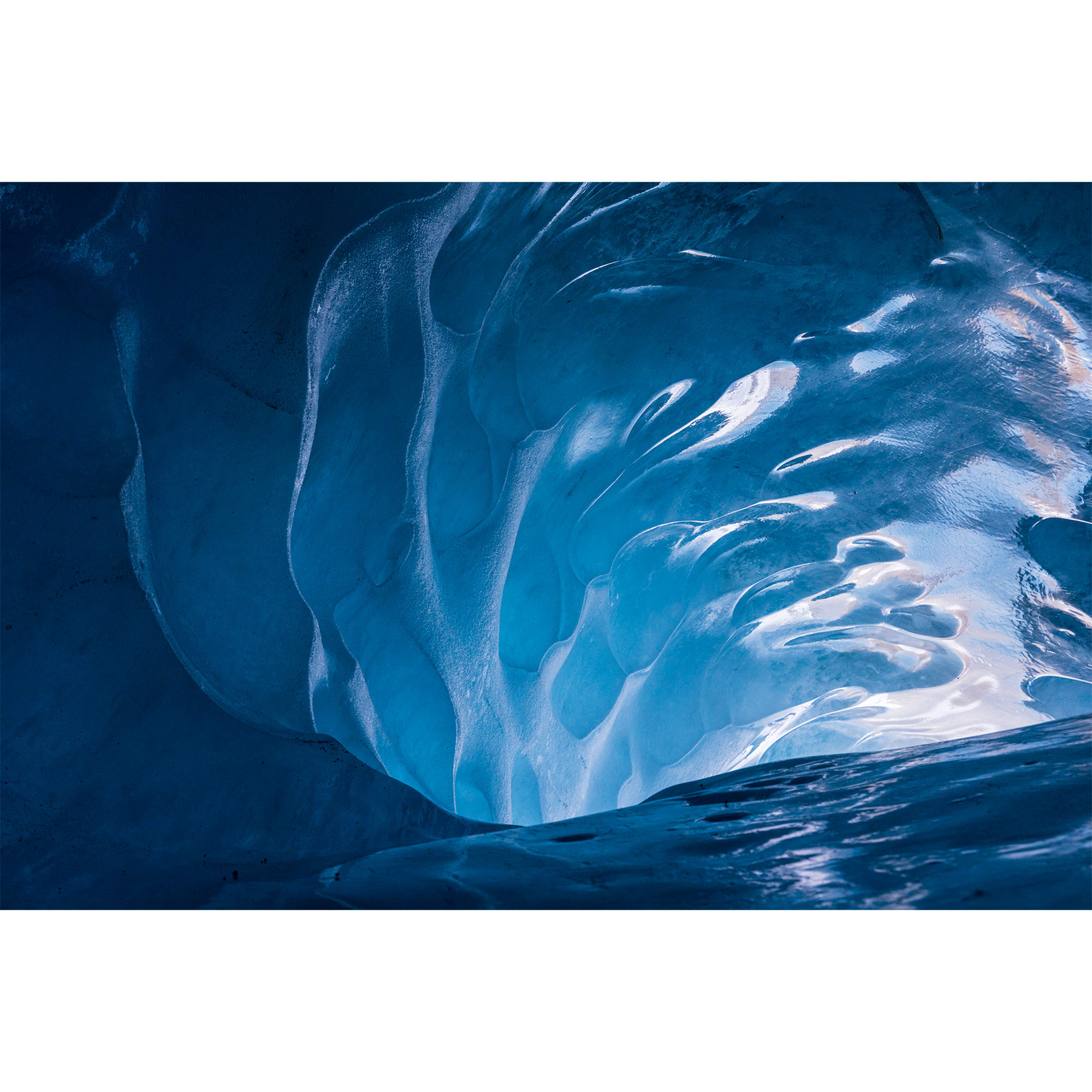 Foto Coquille de Glace