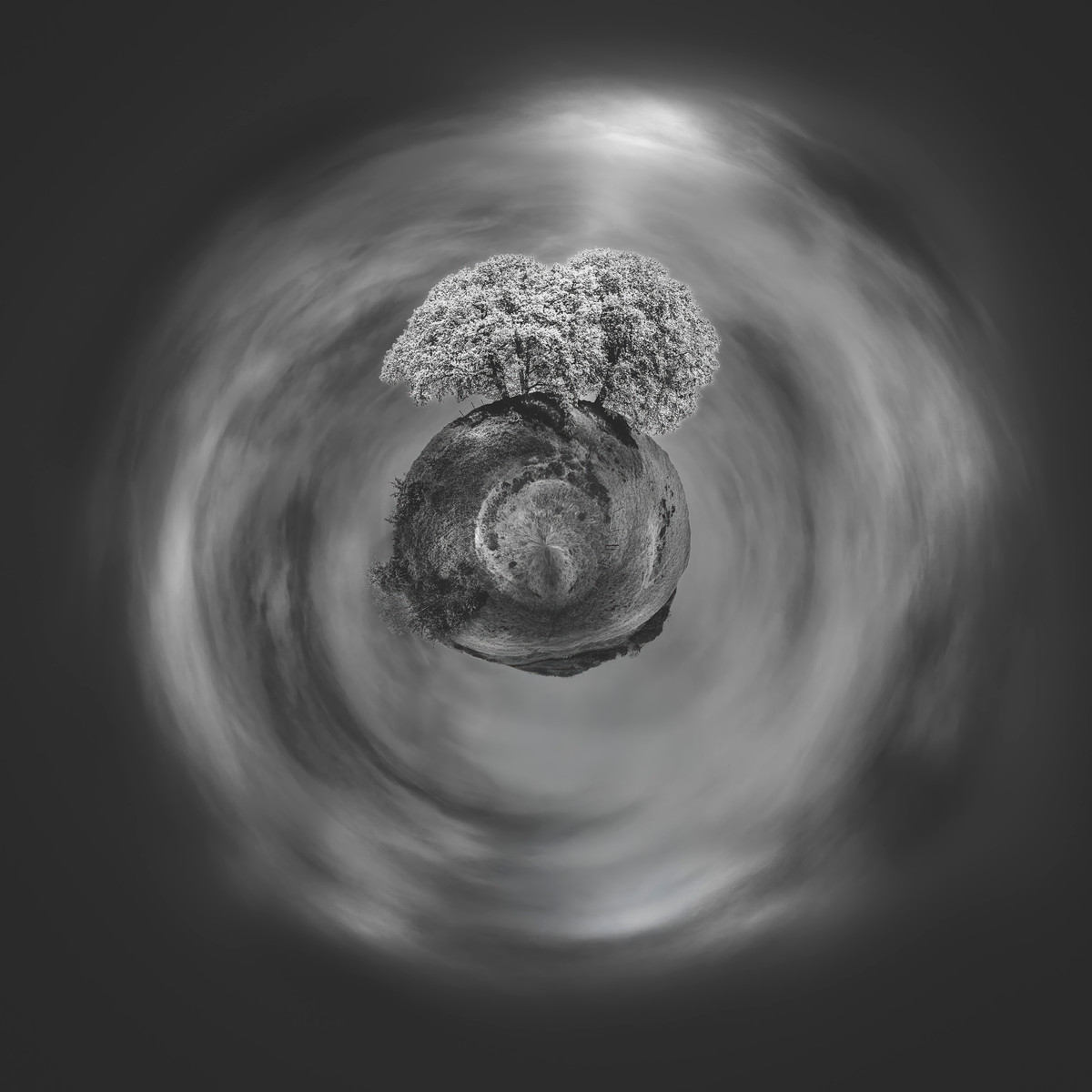 Photographie noir et blanc Entre Deux Mondes de Paul Marnef – arbre solitaire sur une planète en lévitation, entre ciel et terre, œuvre poétique en édition limitée