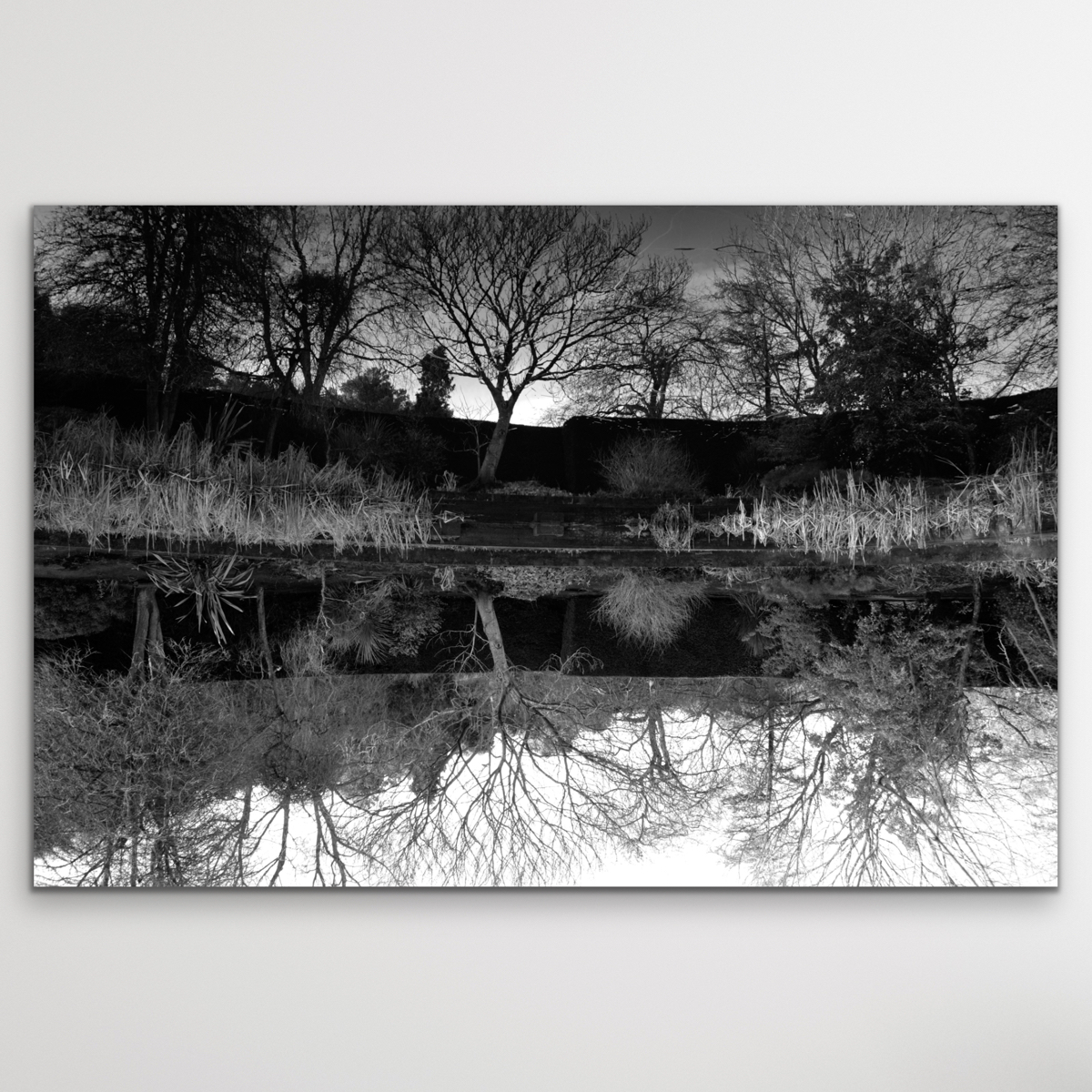 "Electro", landschap