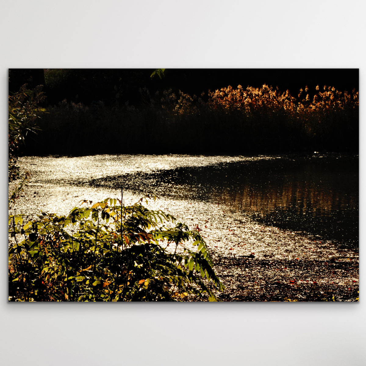 "Pad van het Licht", landschap