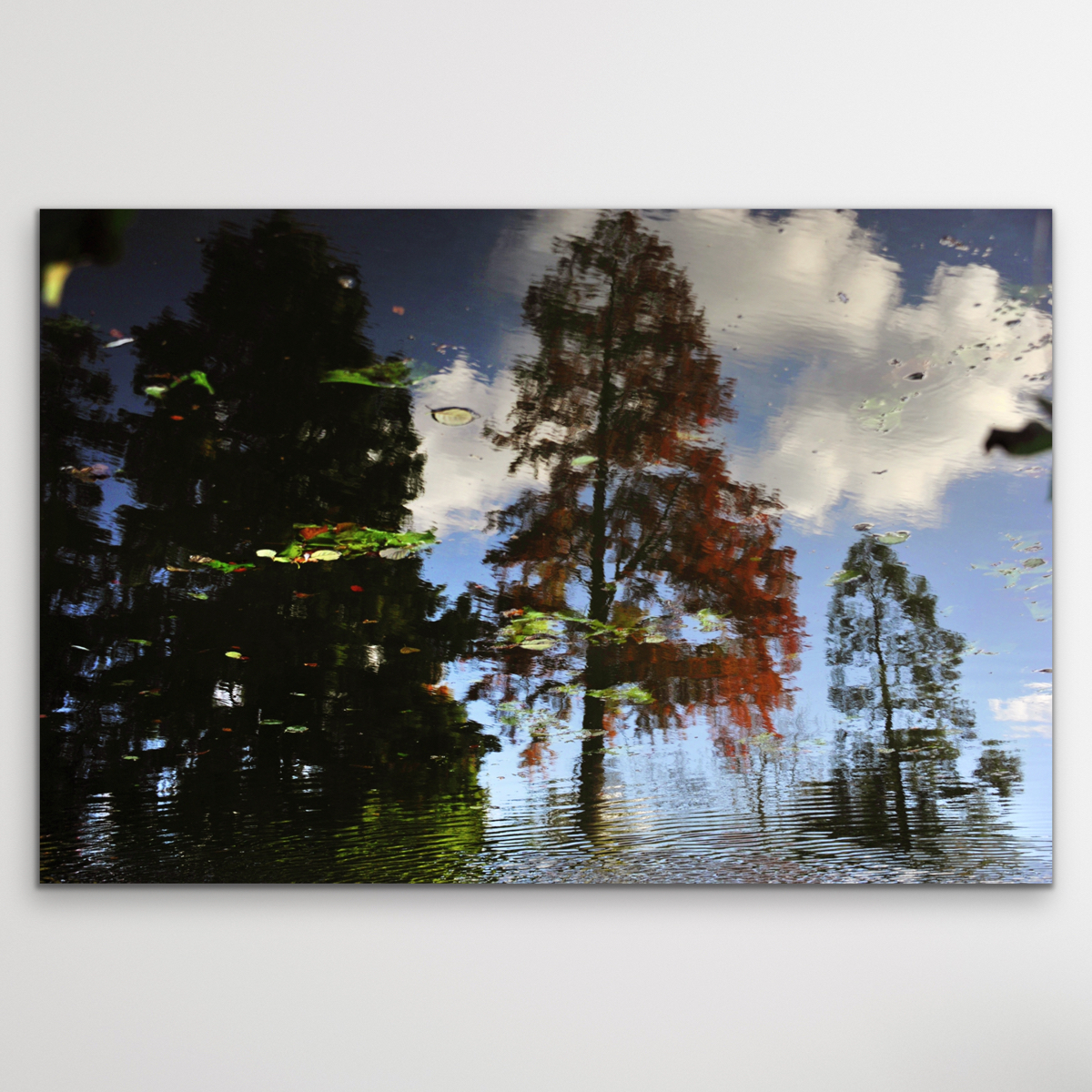 "4", landschap
