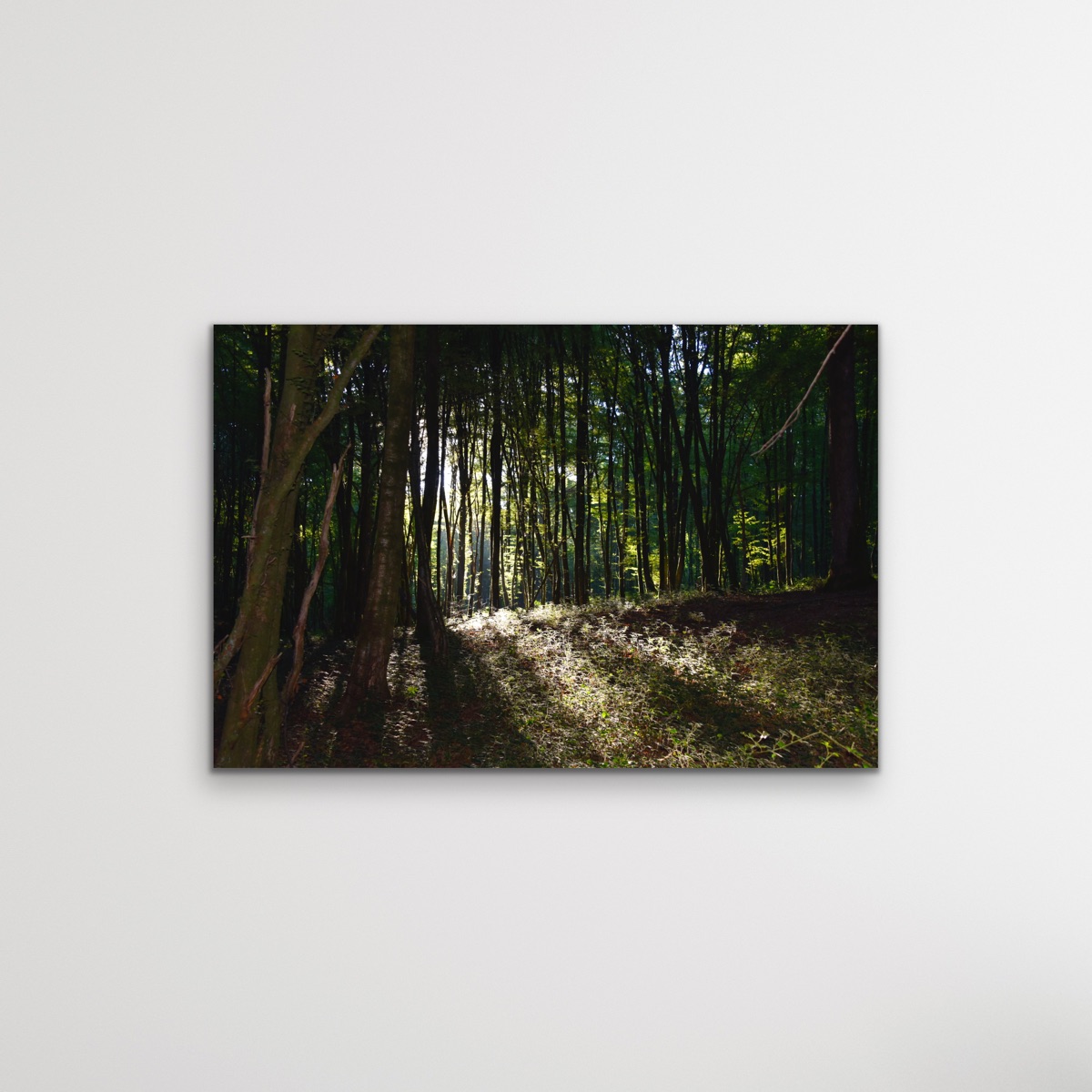 "Mysterie van de Underwoods", herverbinding met de natuur