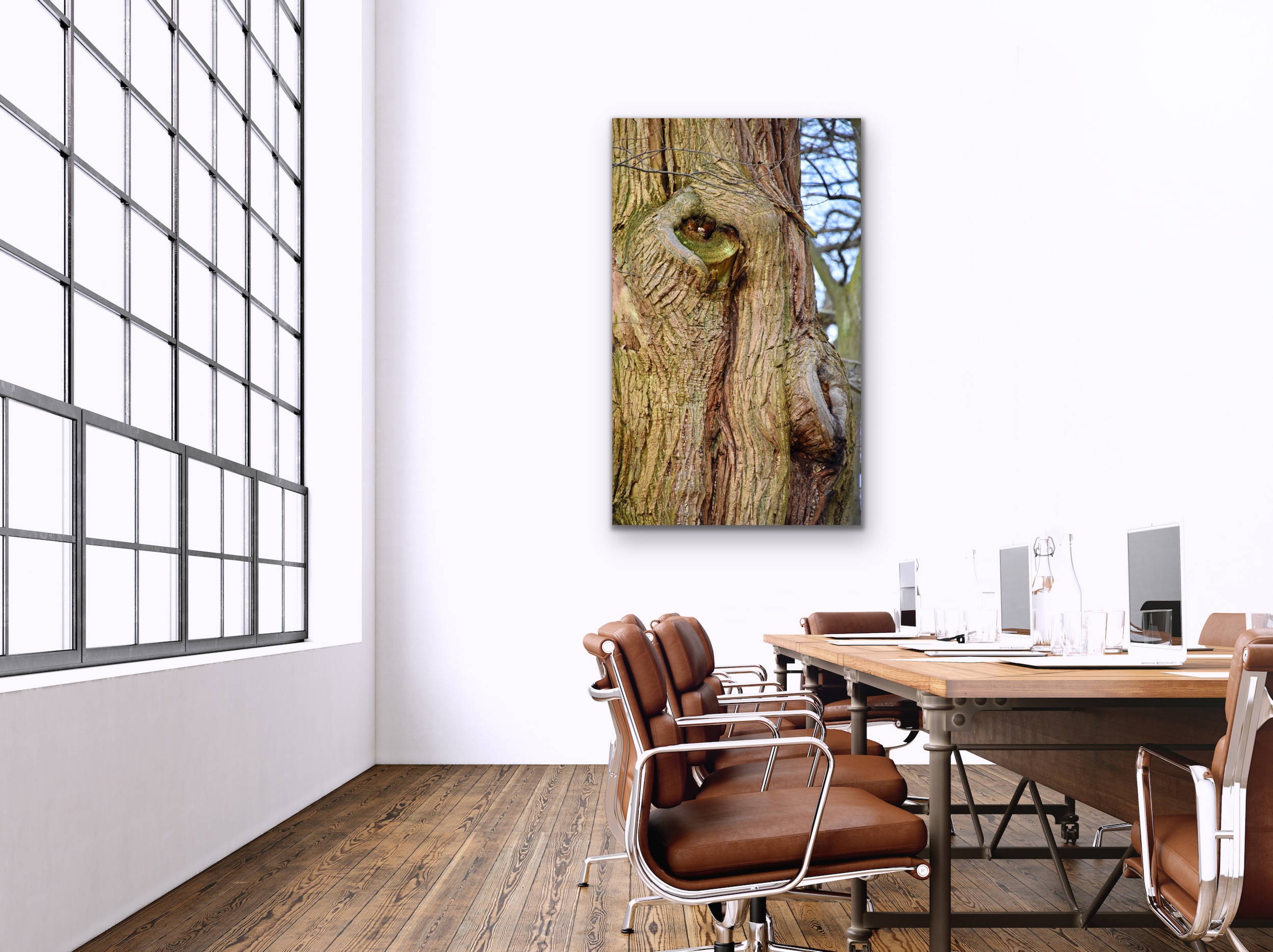 Oeil de Vert, herverbinding met de natuur