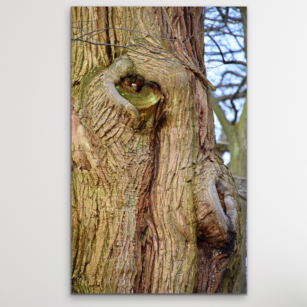 Oeil de Vert, herverbinding met de natuur