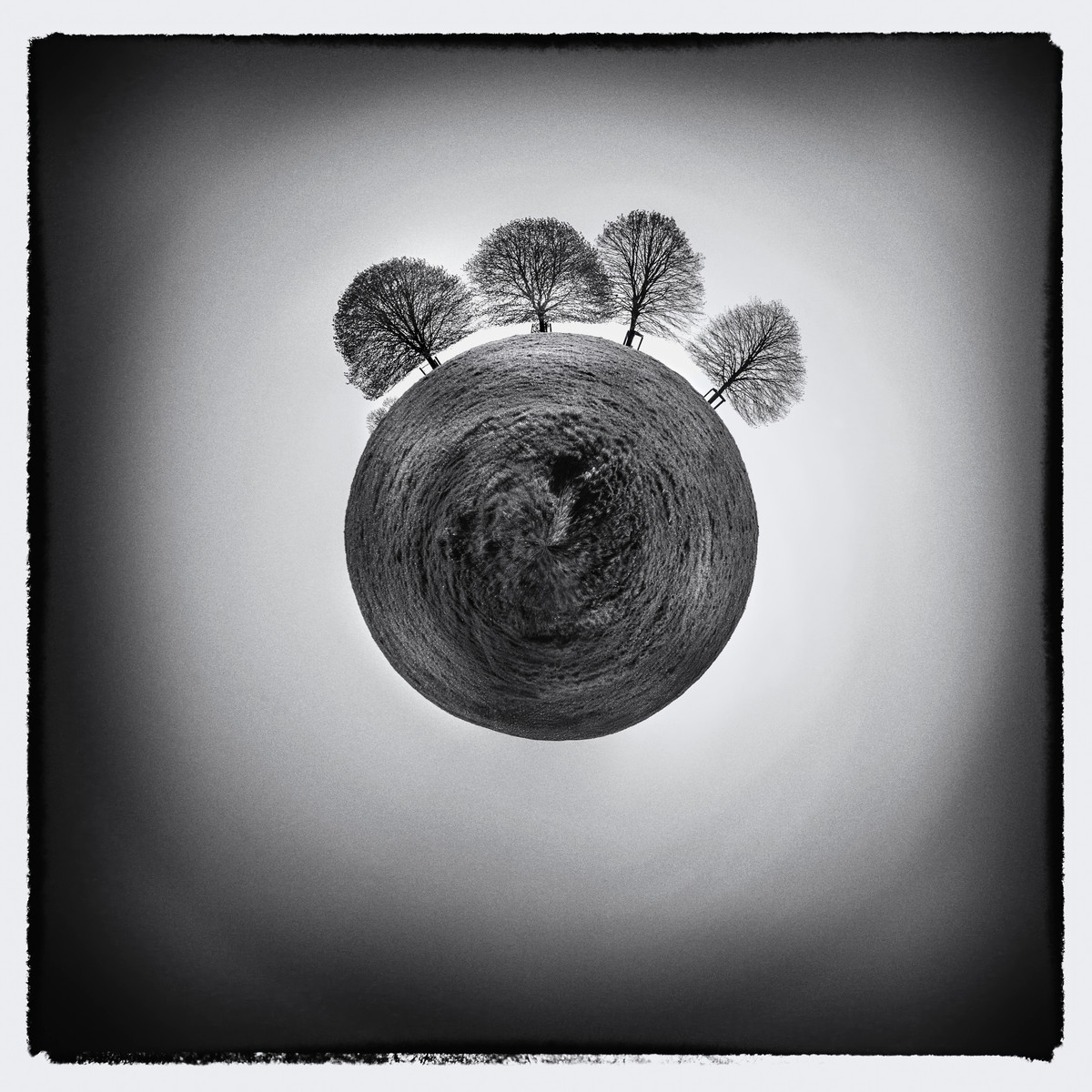 Photographie artistique de Paul Marnef – cinq arbres penchés sur une planète circulaire dans un paysage silencieux et méditatif, tirage en édition limitée