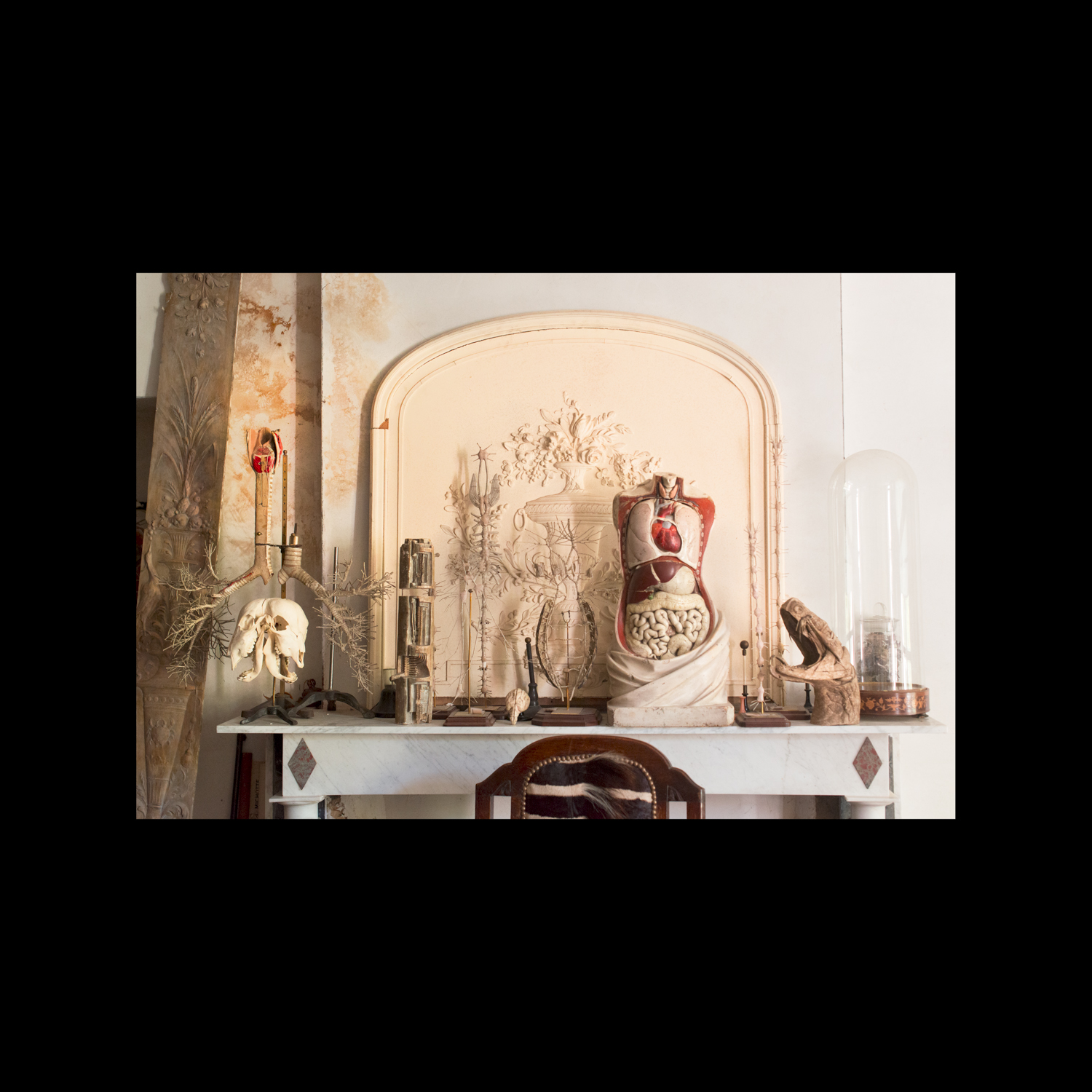 Cabinet de curiosités - Le collectionneur 
