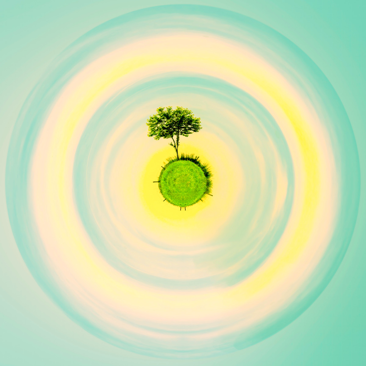 Photographie artistique "L'Arbre Solitaire Revisité" de Paul Marnef, montrant un arbre isolé sur une planète verte flottant dans un ciel lumineux et doux, issue de la série "Planètes Imaginaires", disponible en finition Chromaluxe et en édition limitée.
