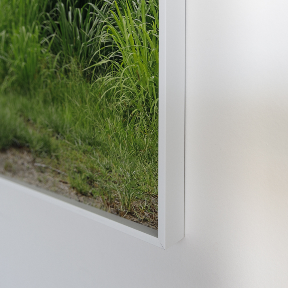 Photo Natural Playground framed detail