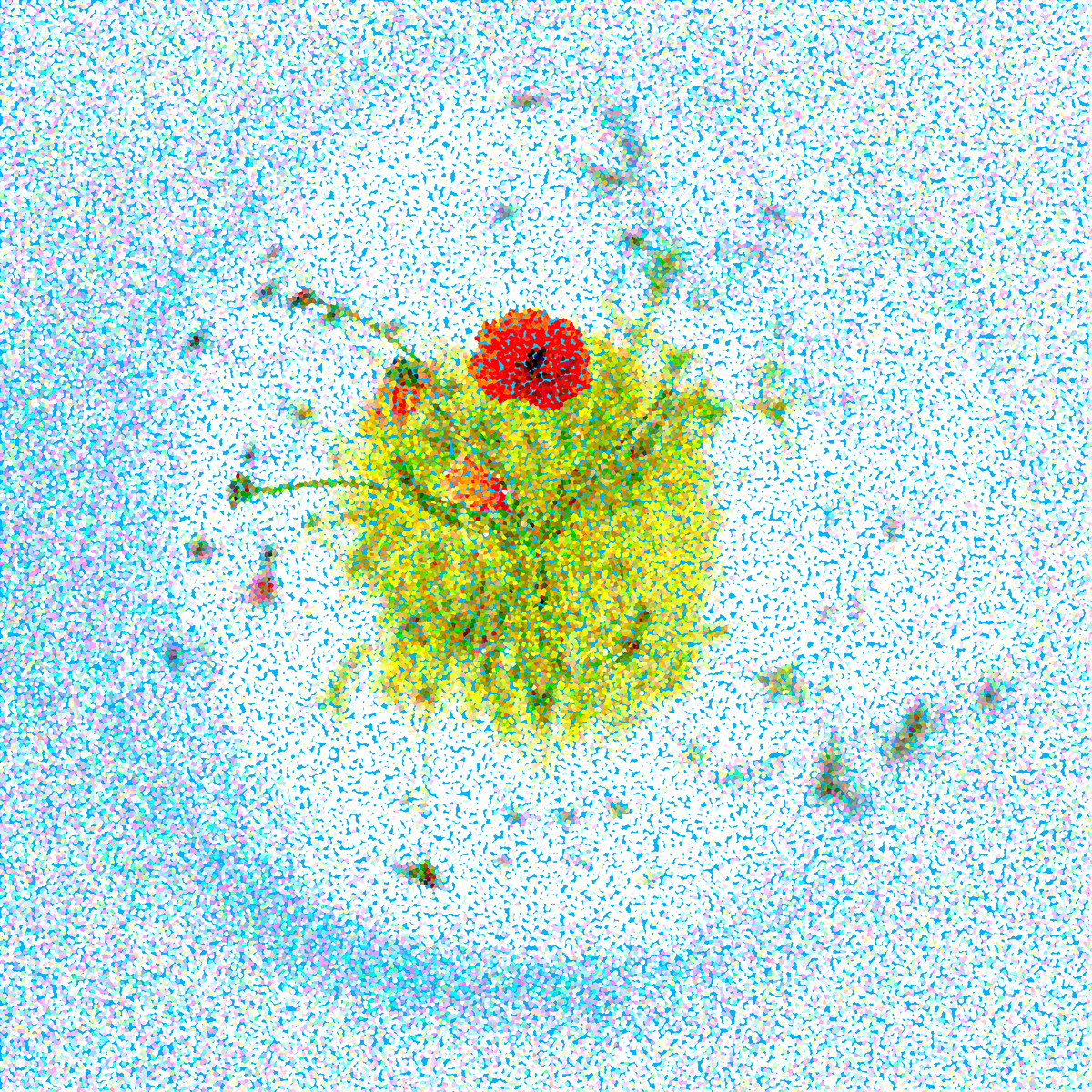 photo de type mini planète d'un cocquelicot en pointillisme