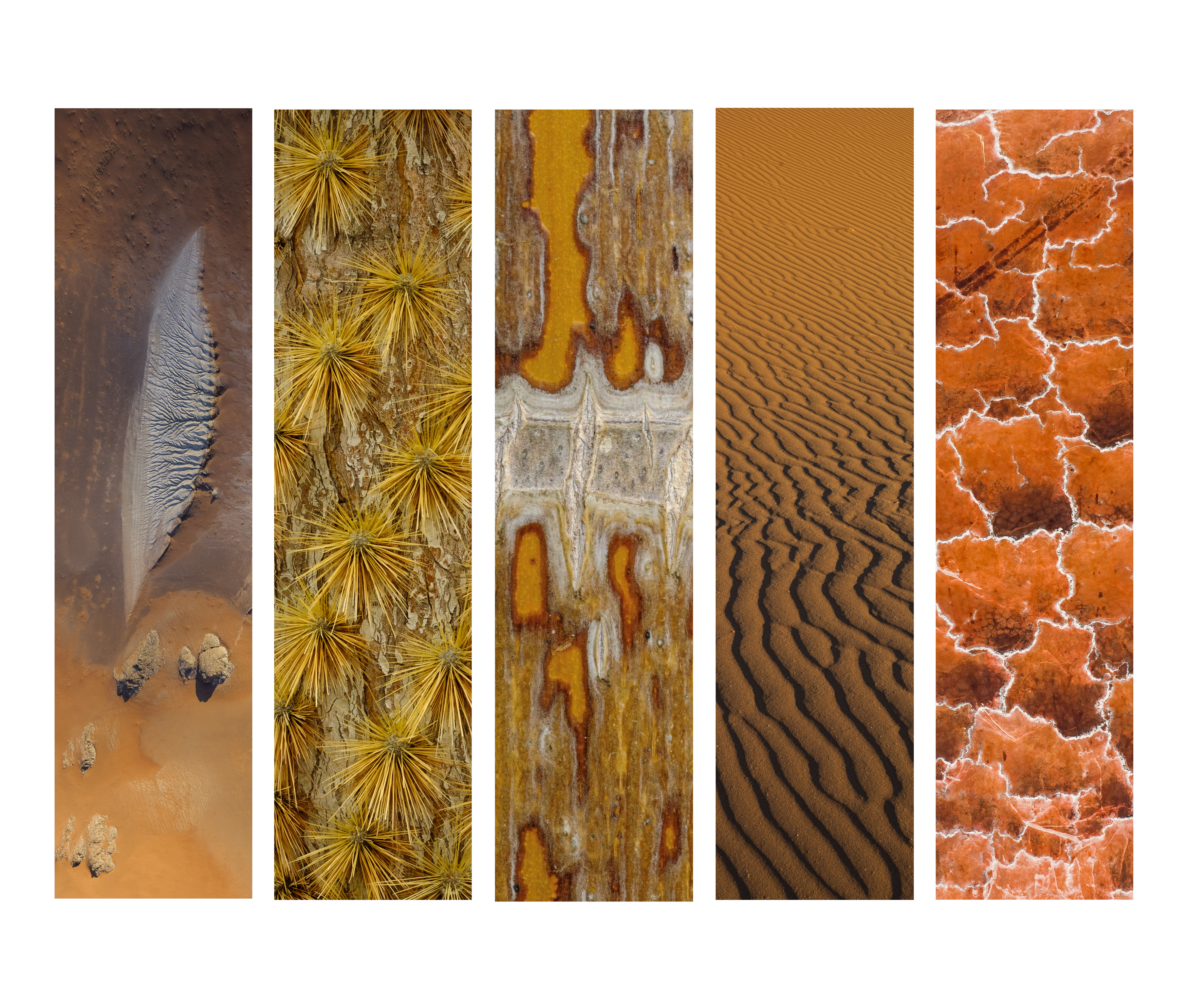 Desert call - composée de 5 verticalités indépendantes - Le mur fait office de passe-partout.