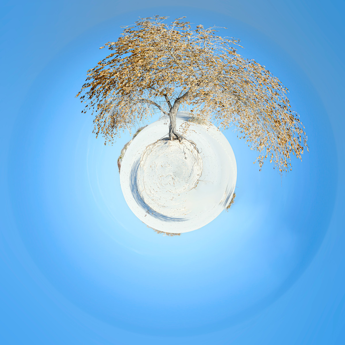 White Sands" par Paul Marnef, une photographie surréaliste d'un arbre solitaire dans un paysage sphérique au milieu des sables blancs du Nouveau-Mexique, faisant partie de sa série "Planètes Imaginaires"