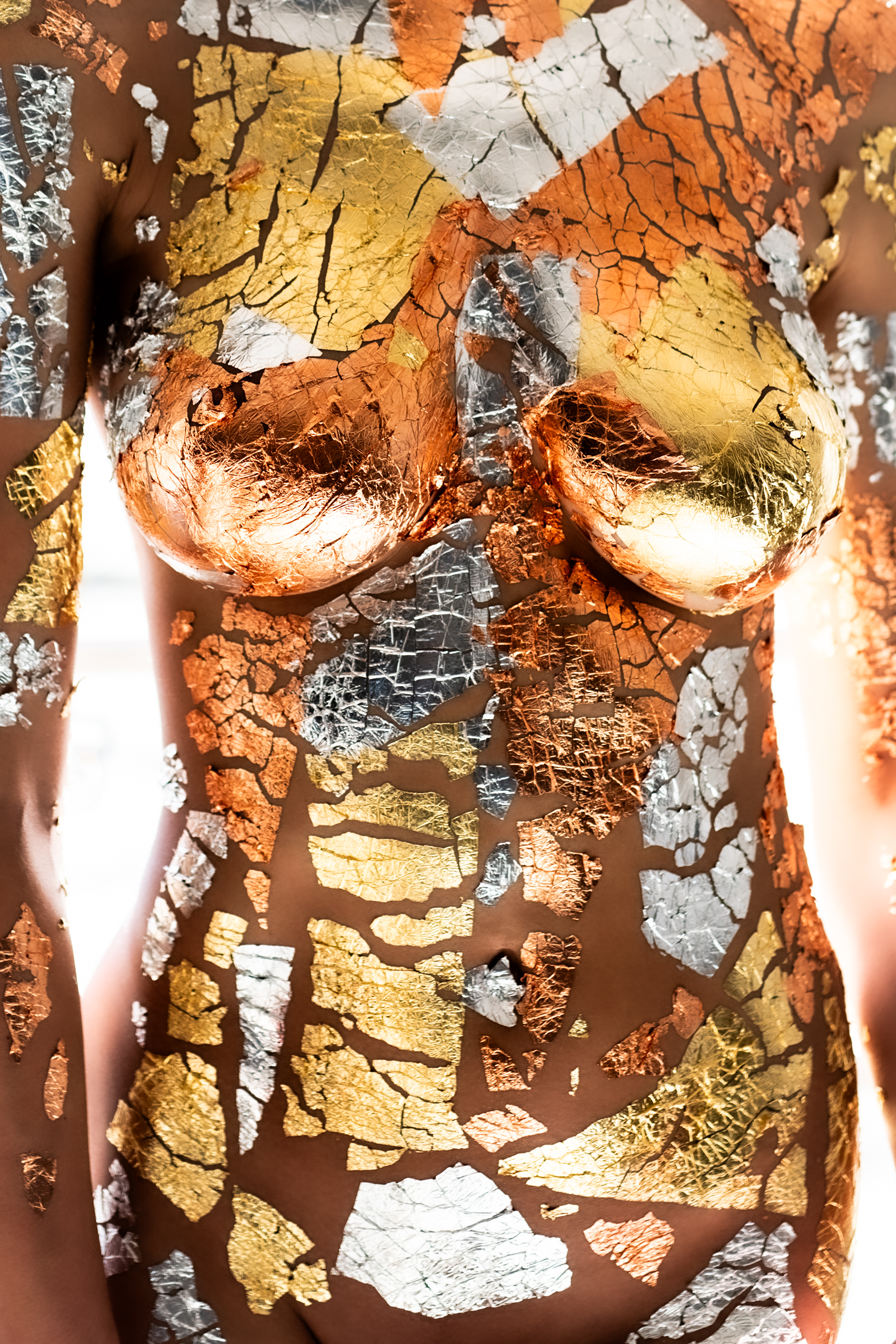 Venus Safari 2  “Dans les flammes de Molly Sullivan”