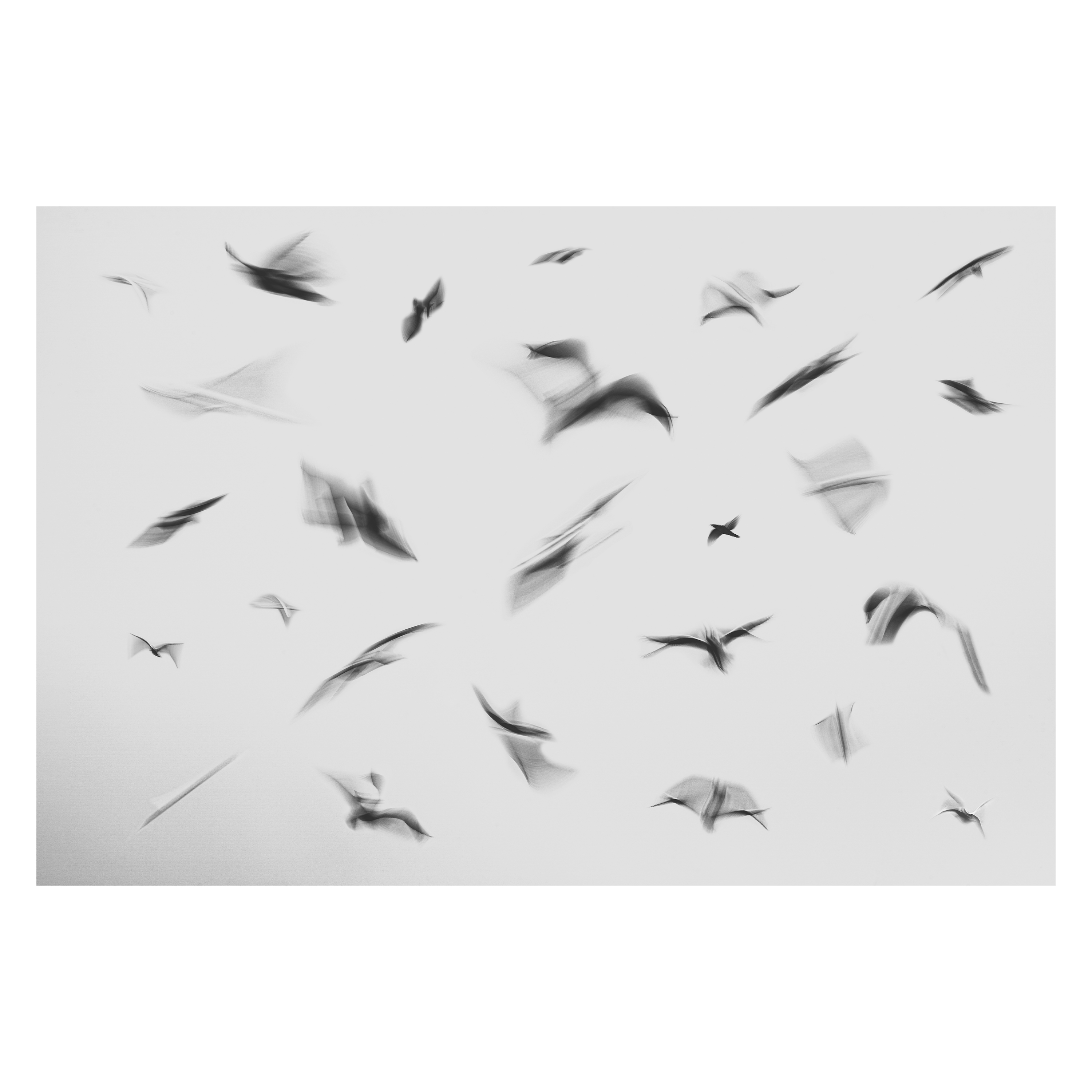 Flight Pattern est le résultat de la fusion d'un grand nombre de photos d'oiseaux en vol dans un ciel nuageux. 
