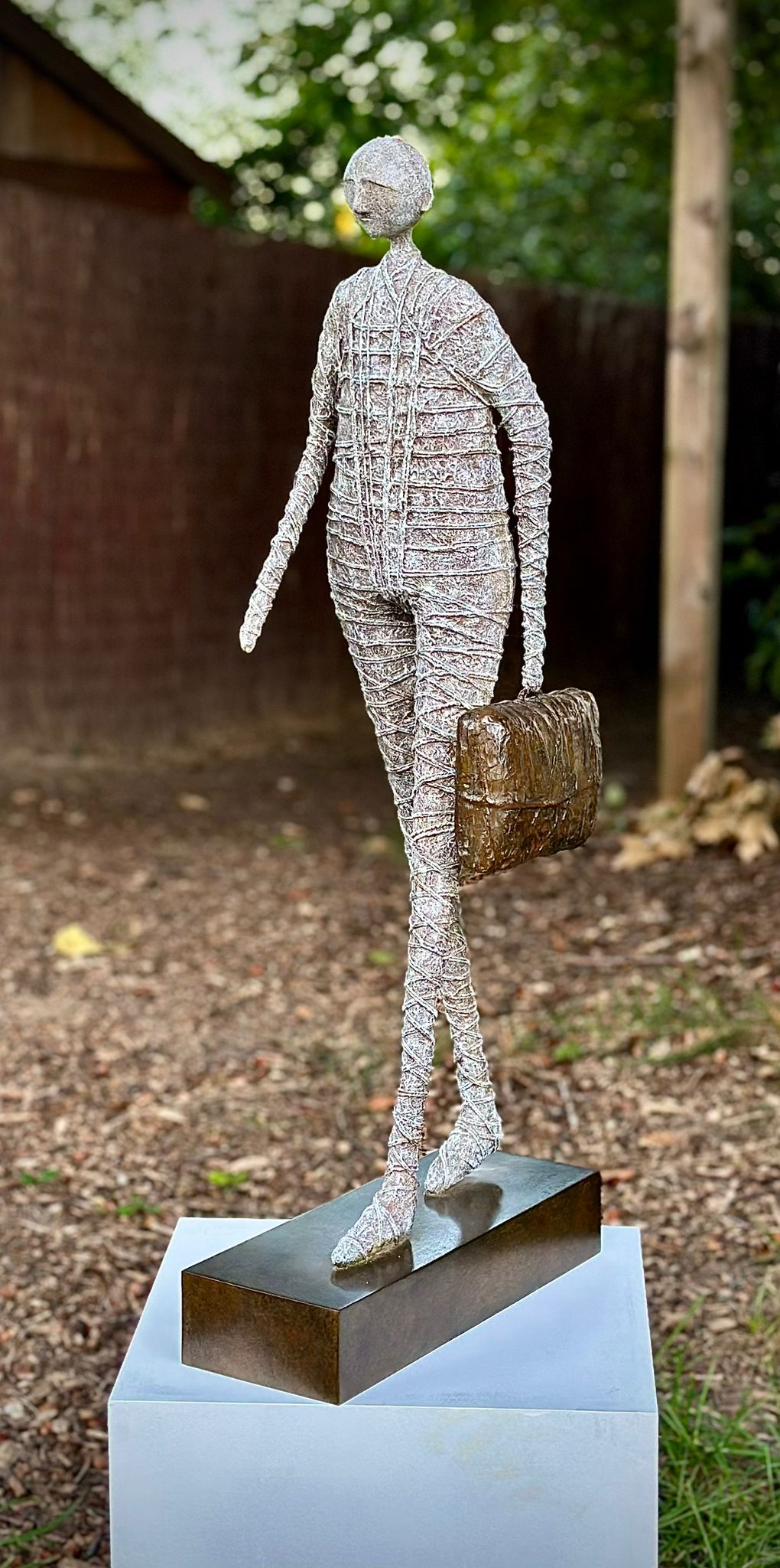 the traveller 