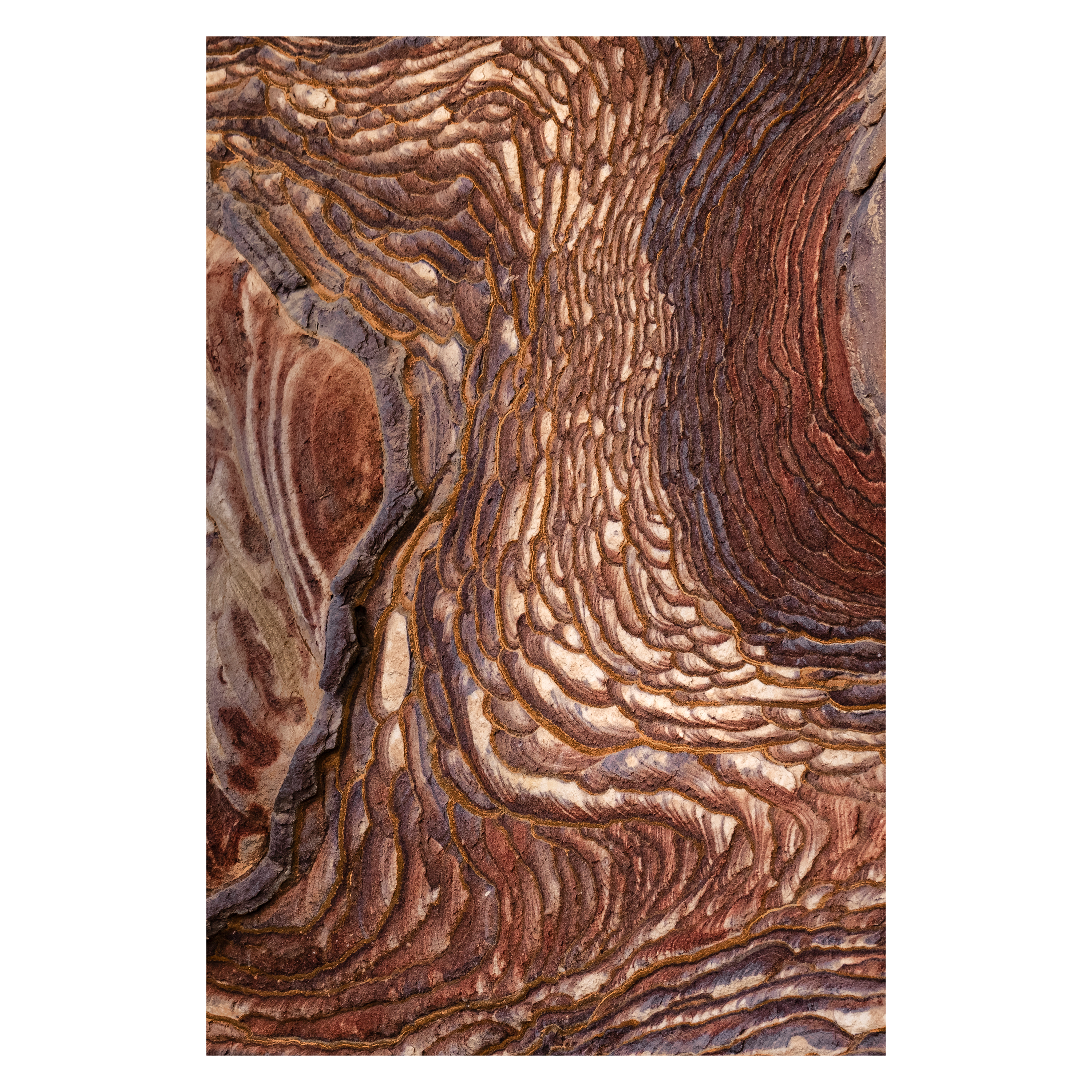 Textures complexes trouvées le long des murs qui entourent les routes de Pétra. Un clin d'œil à l'art de la mosaïque, une spécialité du peuple jordanien.