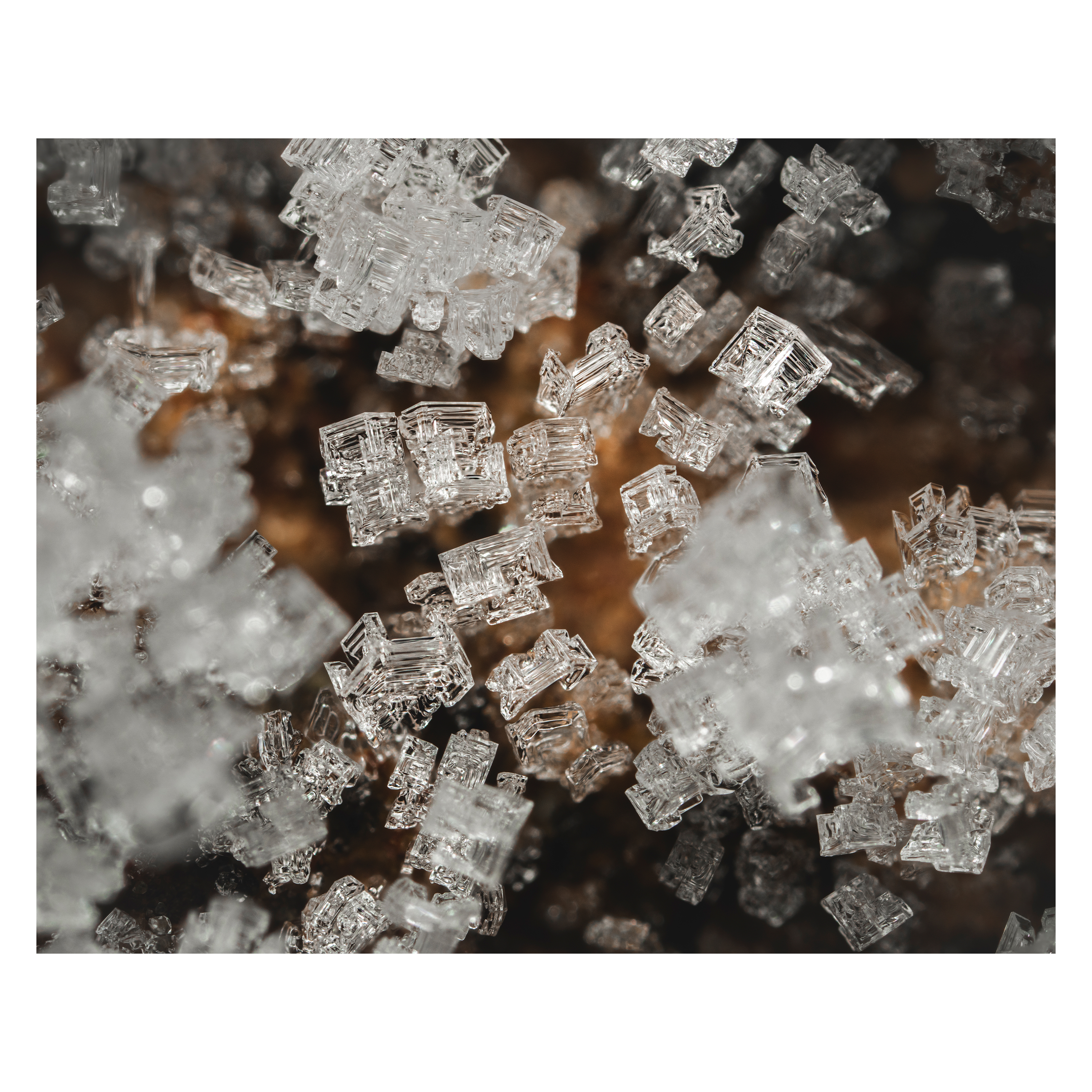 Photo macro de cristaux de givre posés sur un tronc d'arbre.