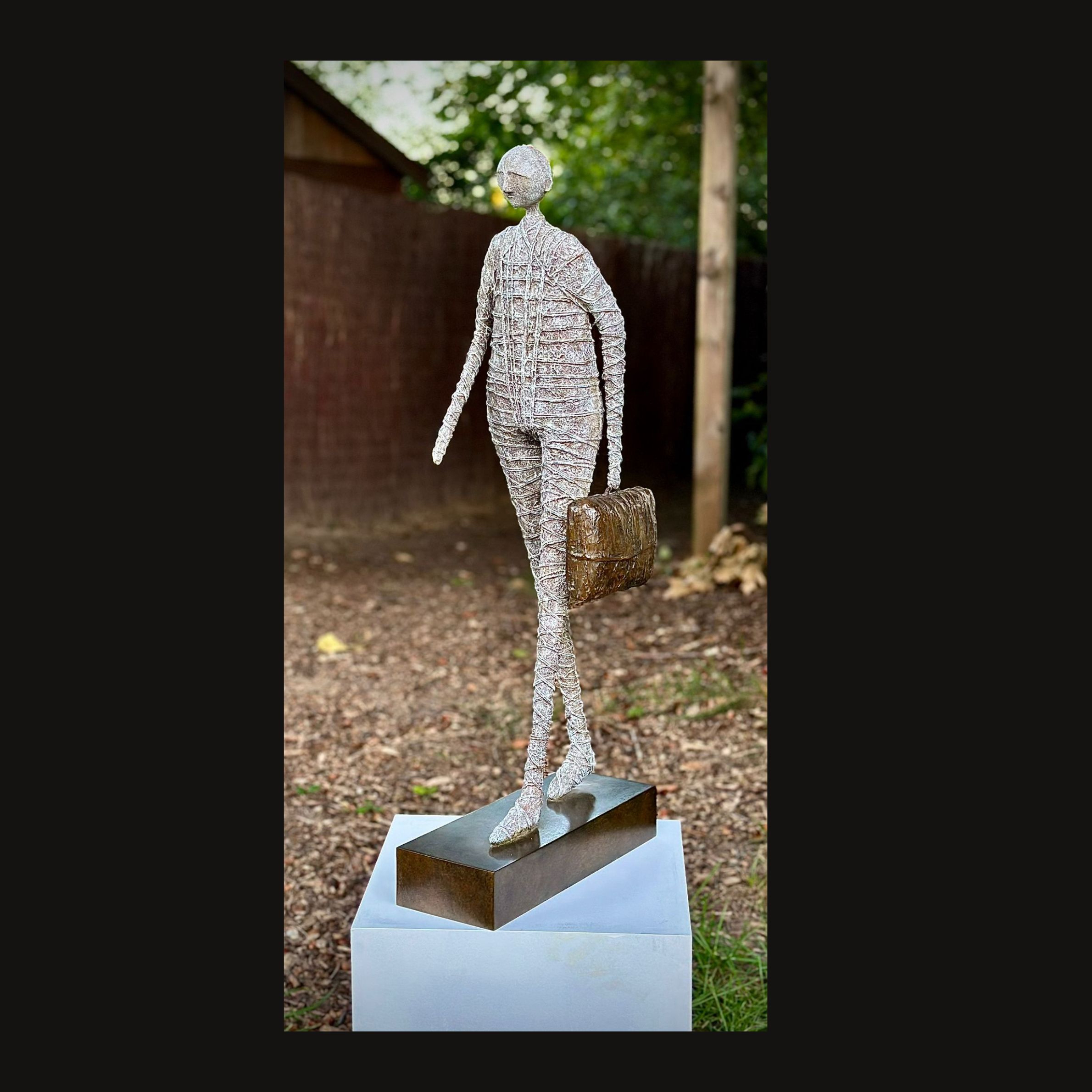 the traveller 
