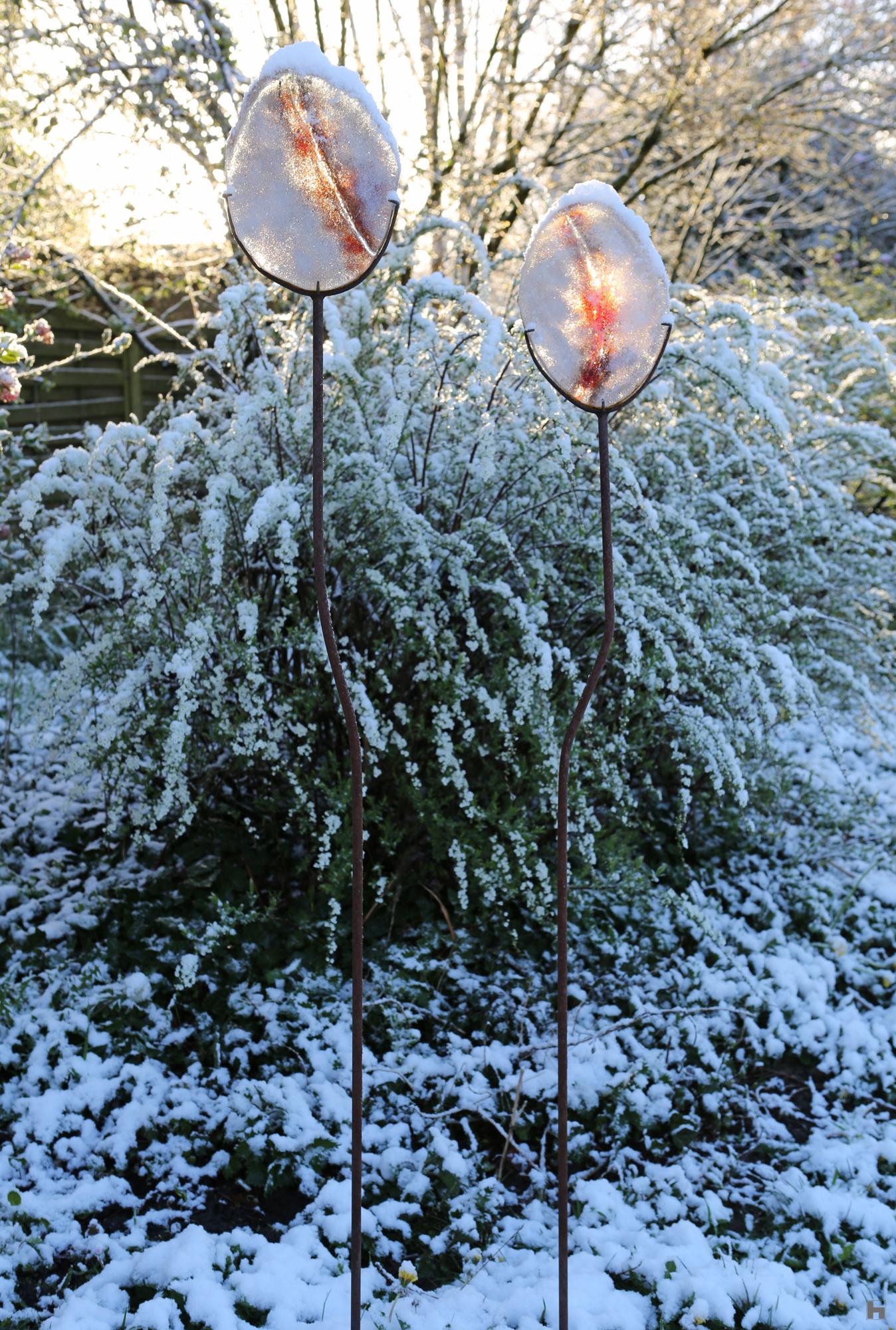 Scarifications, light and snow