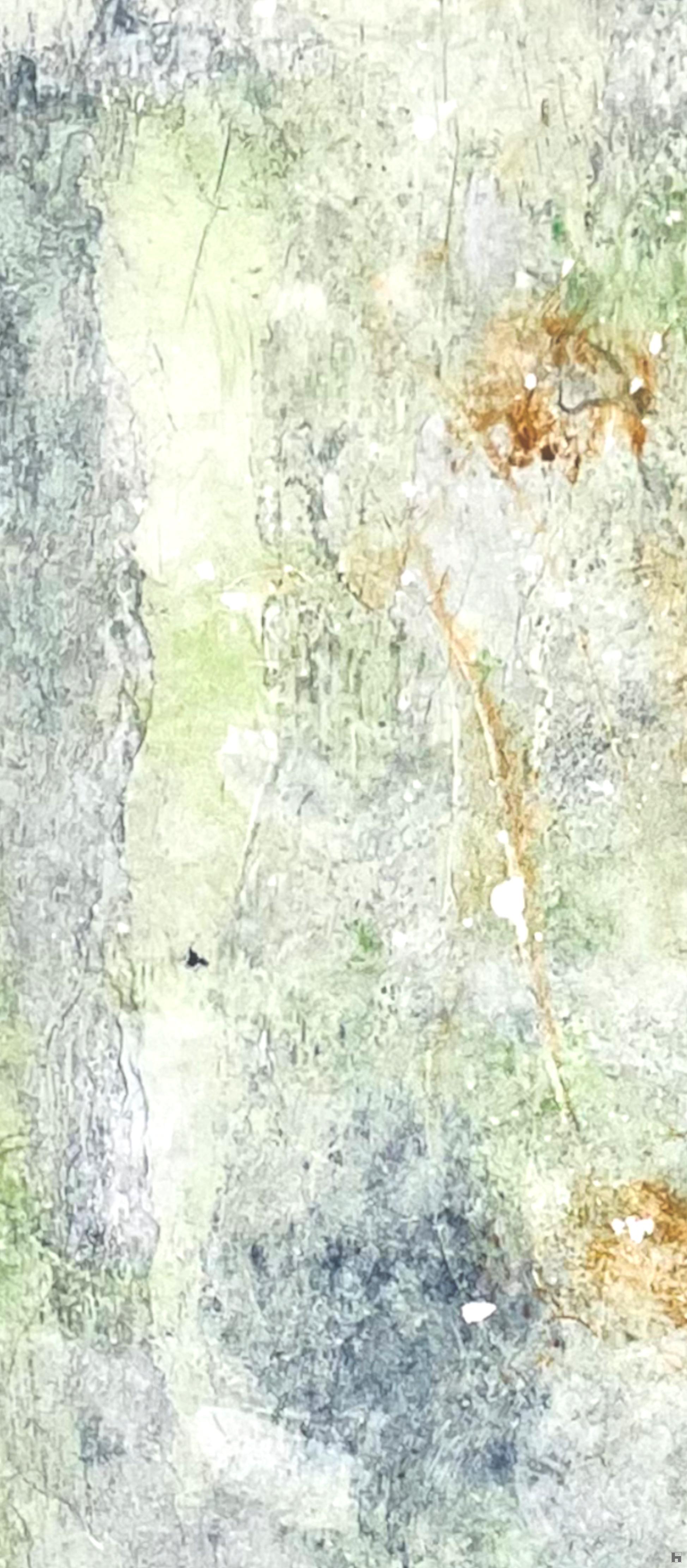 detail 1 avatar 3