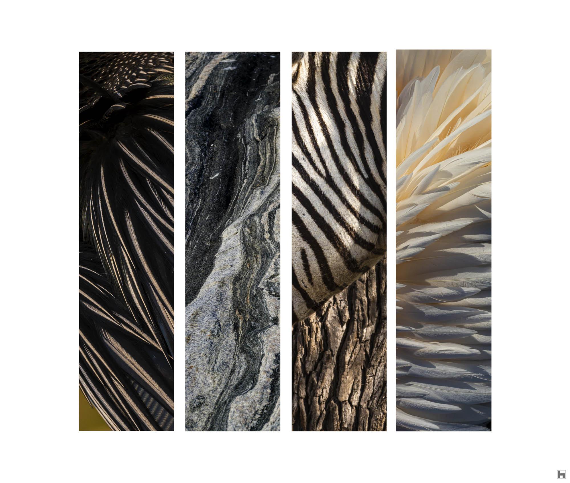 African feathers - composition de 4 verticalités qui vous emmène dans les terres lointaines de l'Afrique
