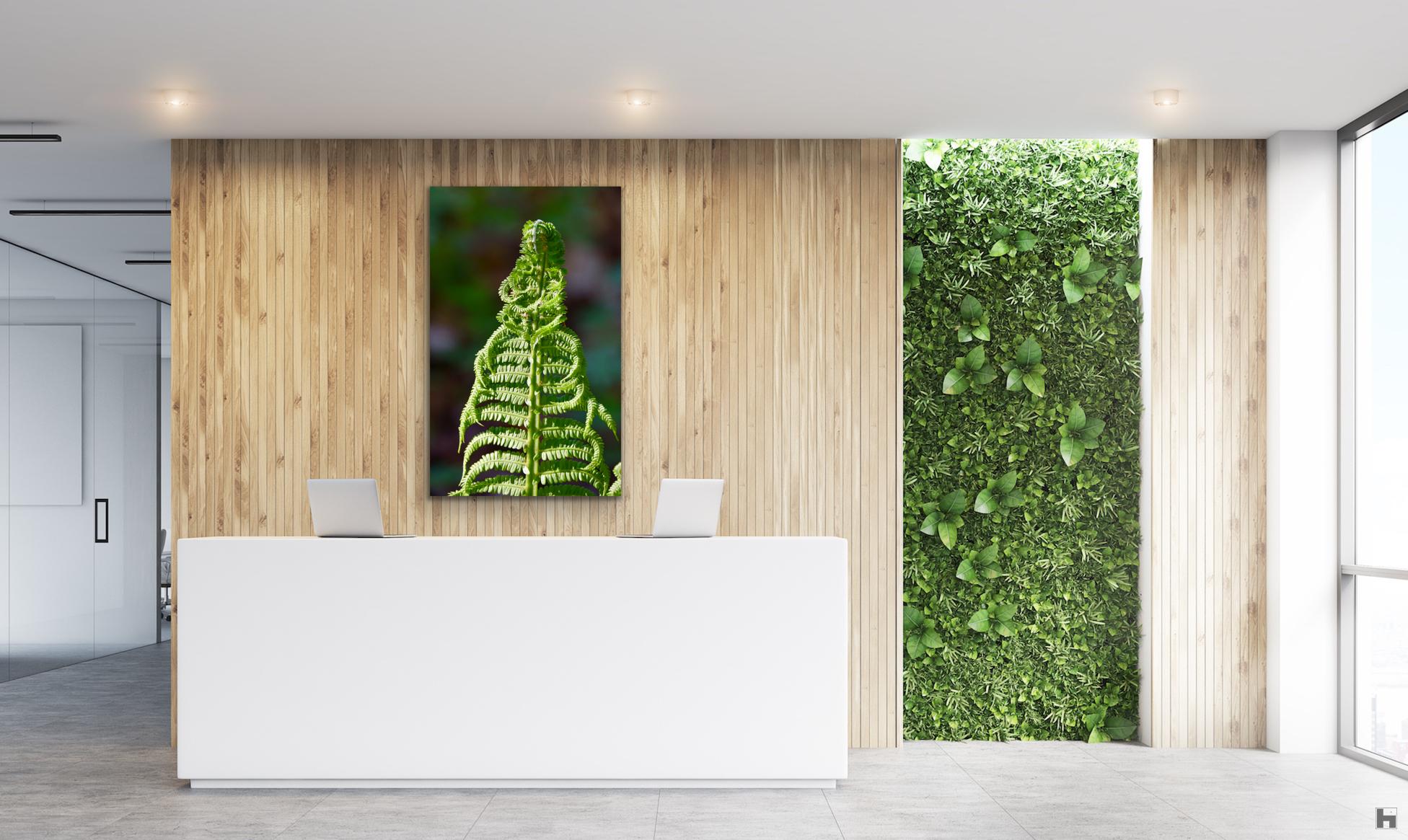 "SÔfia", reconnection with nature