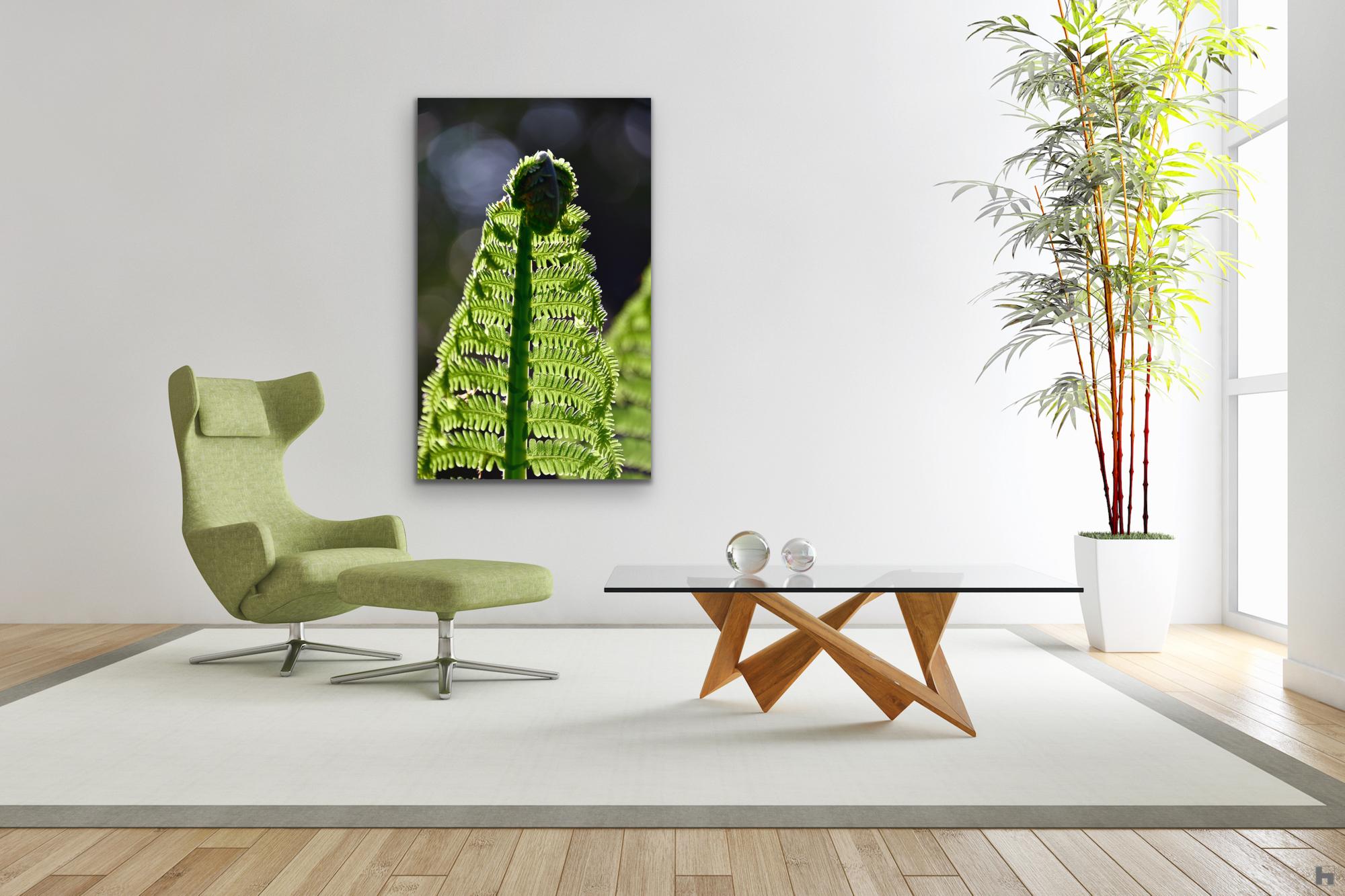"Ma DÔnna", reconnection with nature