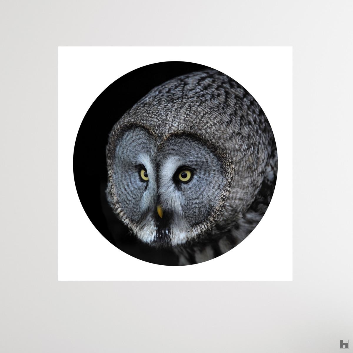 "Juste un Regard", reconnexion à la nature