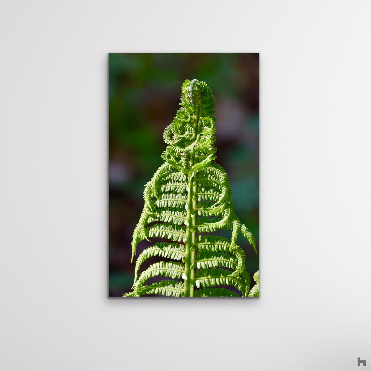 "SÔfia", reconnection with nature