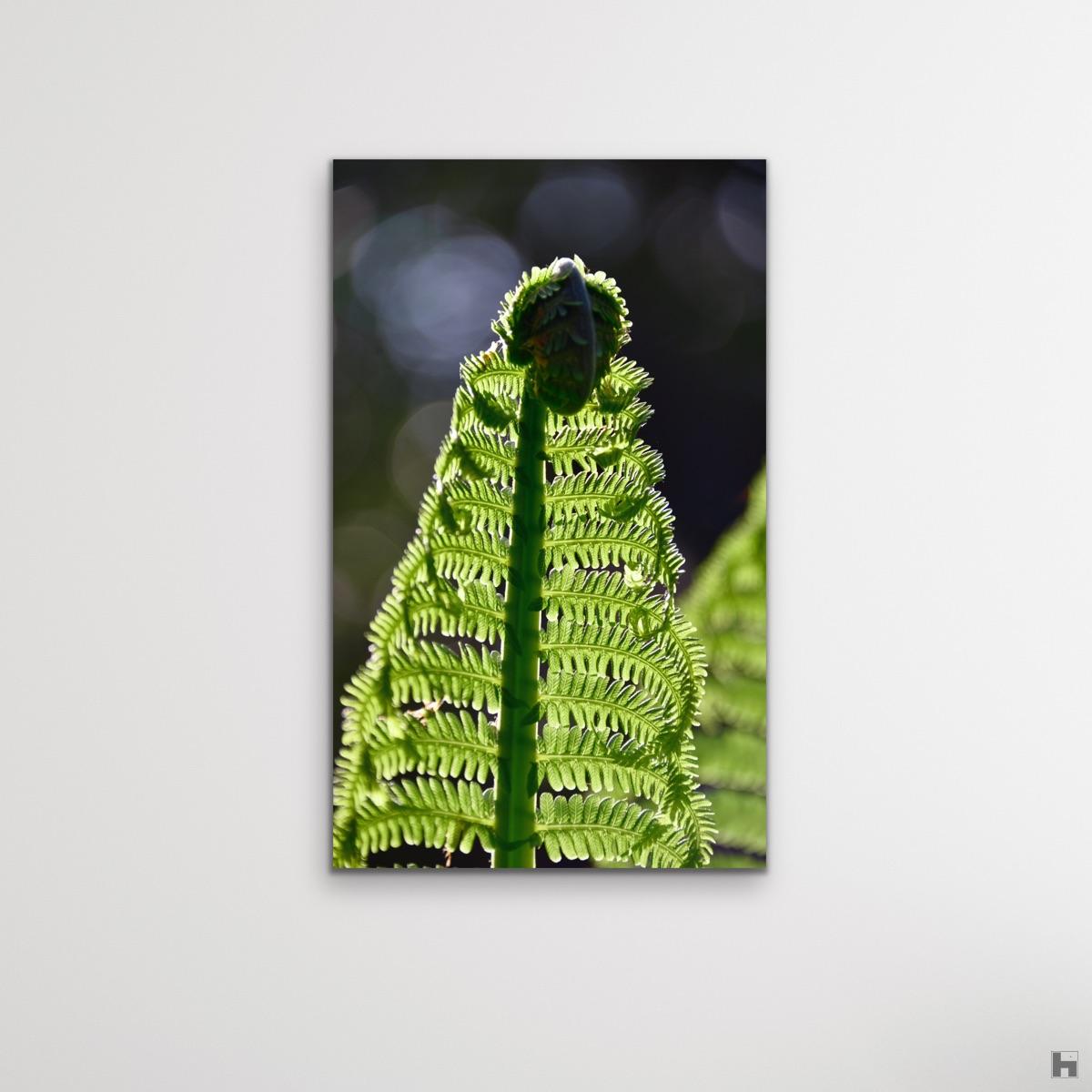 "Ma DÔnna", reconnection with nature