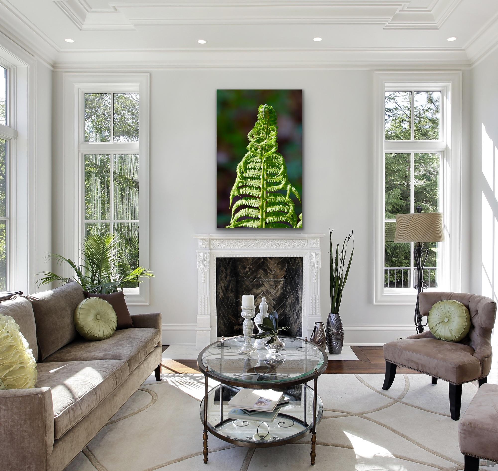 "SÔfia", reconnection with nature
