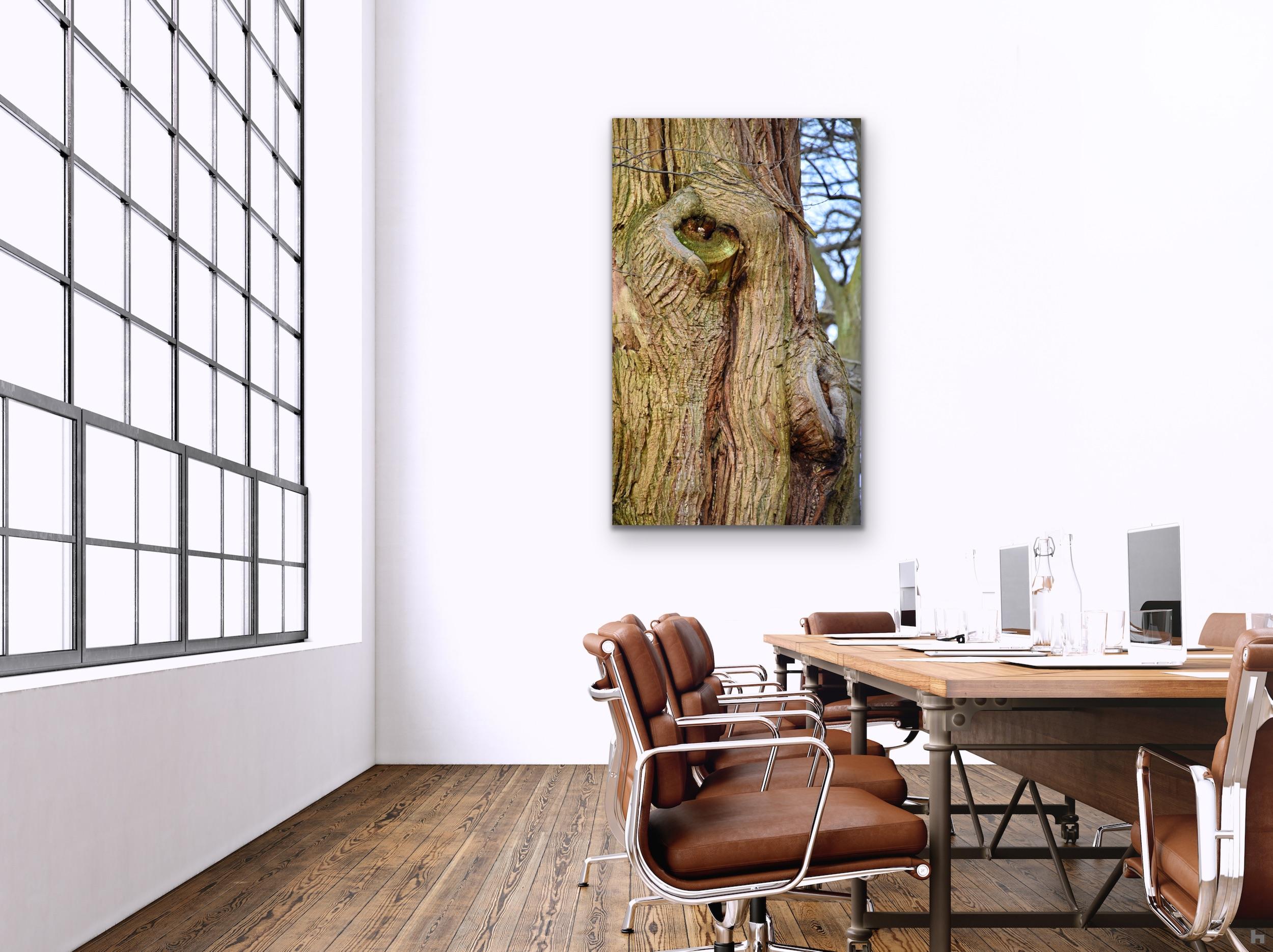 Oeil de Vert, reconnection with nature