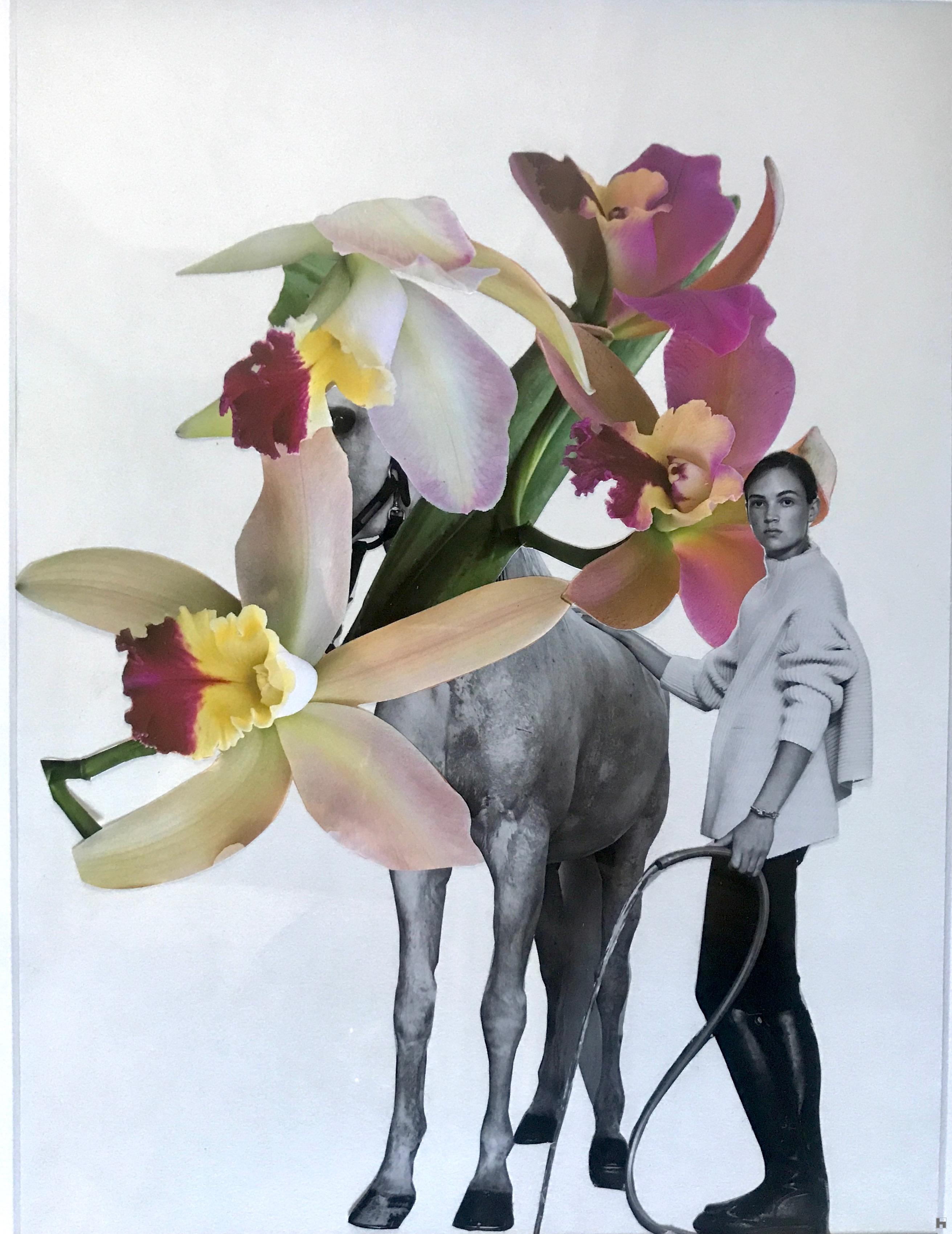 art visuel,collage analogique,poésie visuelle