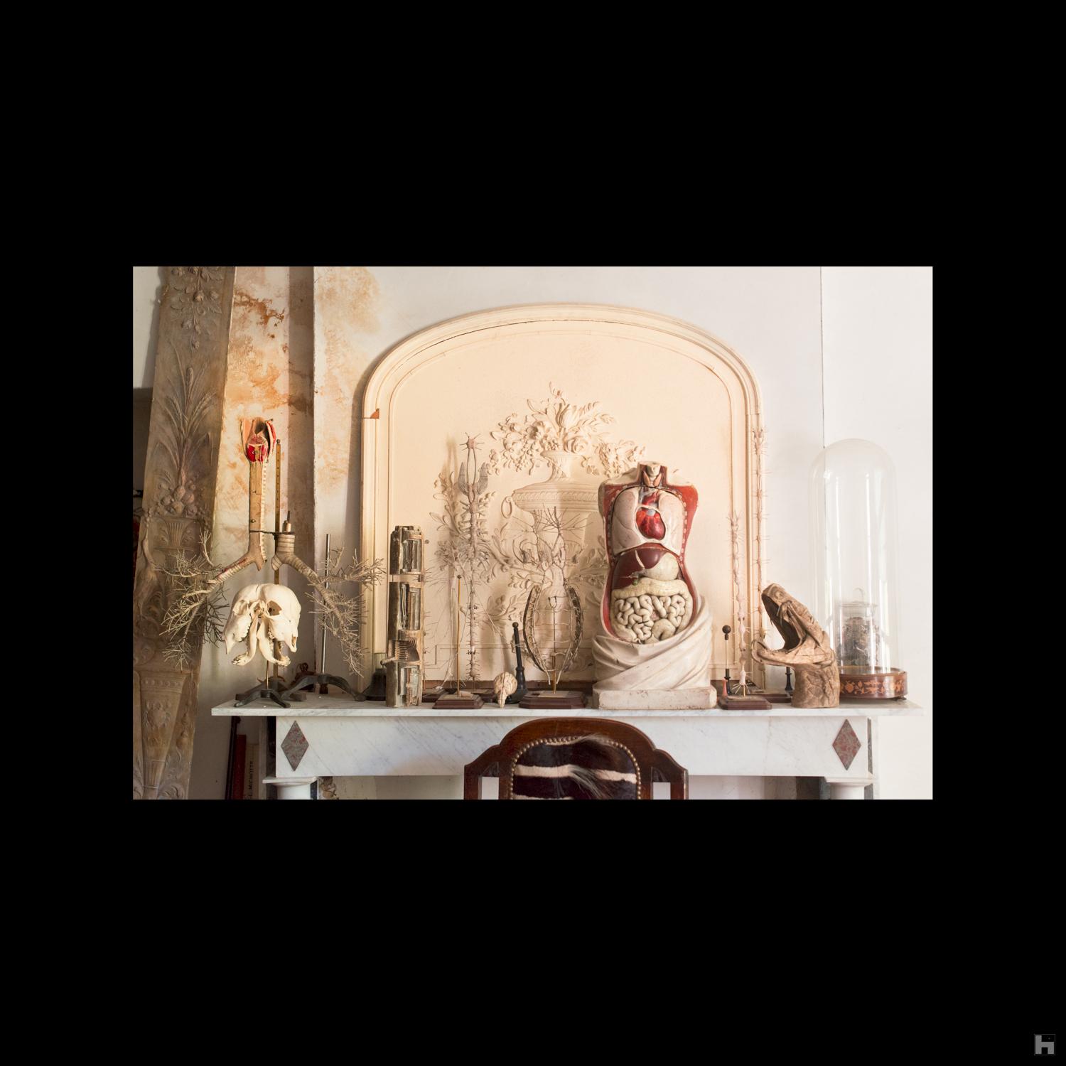 Cabinet de curiosités - Le collectionneur 