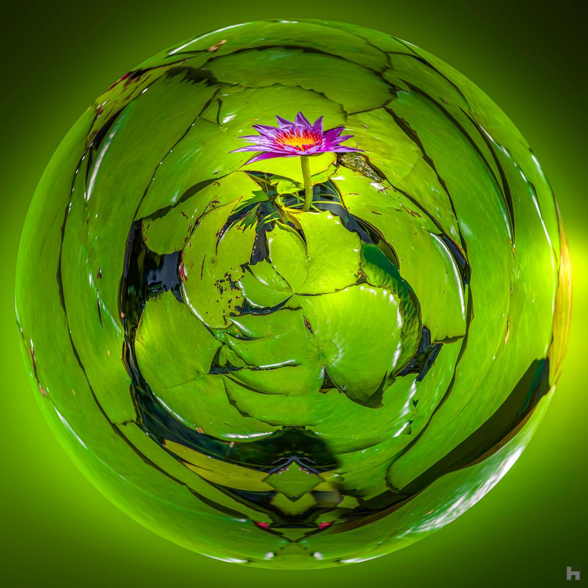 Photographie artistique "Nénuphar de Lumière" de Paul Marnef, montrant un nénuphar éclatant dans un univers vert abstrait, issue de la série "Planètes Imaginaires", disponible en finition Chromaluxe et en édition limitée.