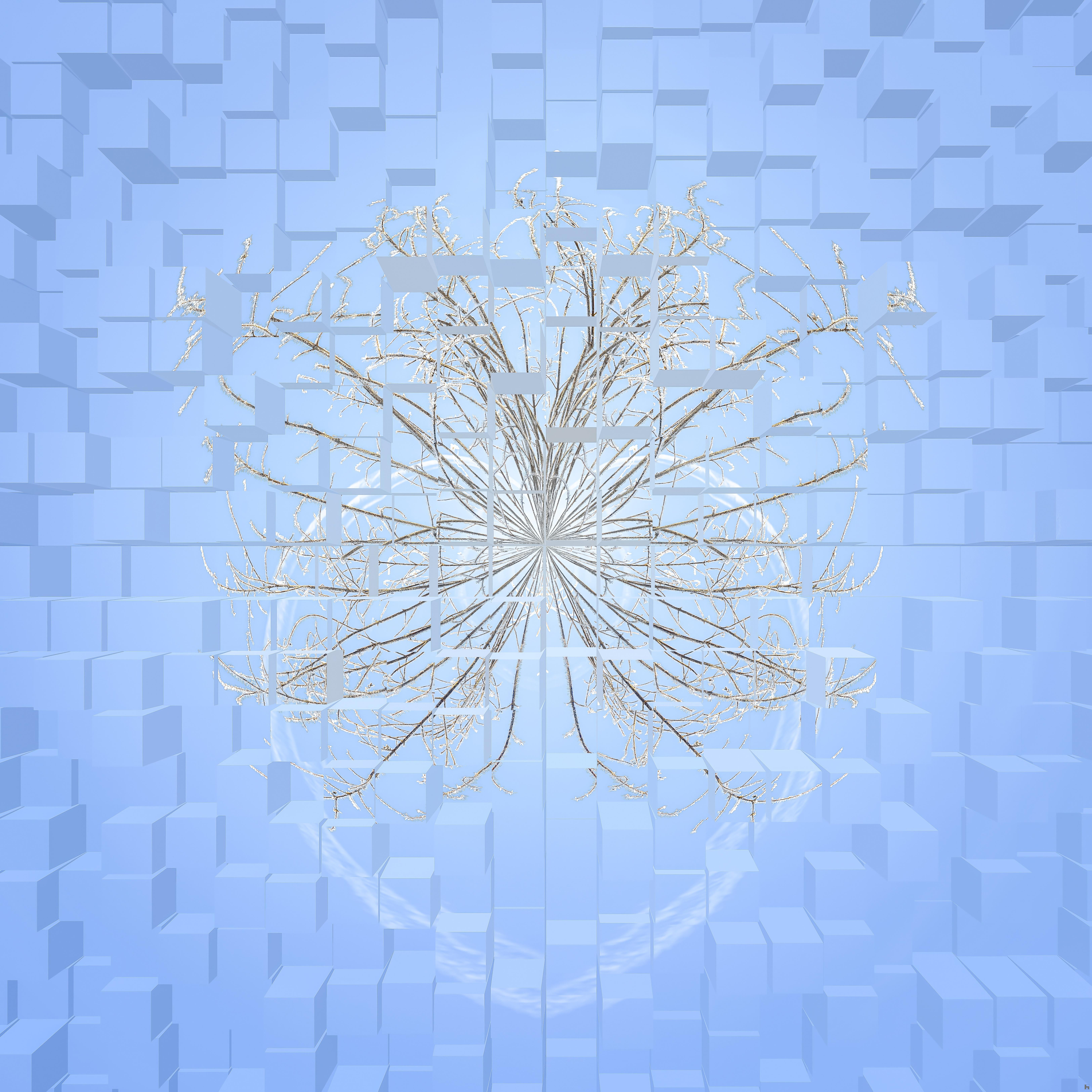 Une image surréaliste de Paul Marnef montrant un arbre fractal glacé contre un ciel délicat, faisant partie de sa série Planètes Imaginaires.