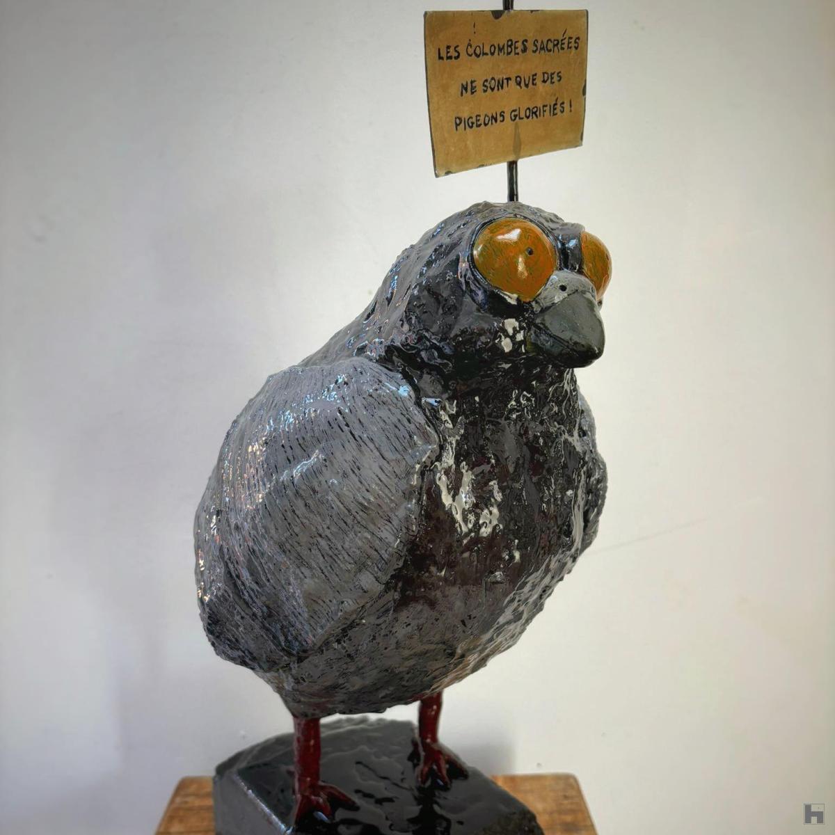 Les colombes sacrées ne sont que des Pigeons glorifiés!