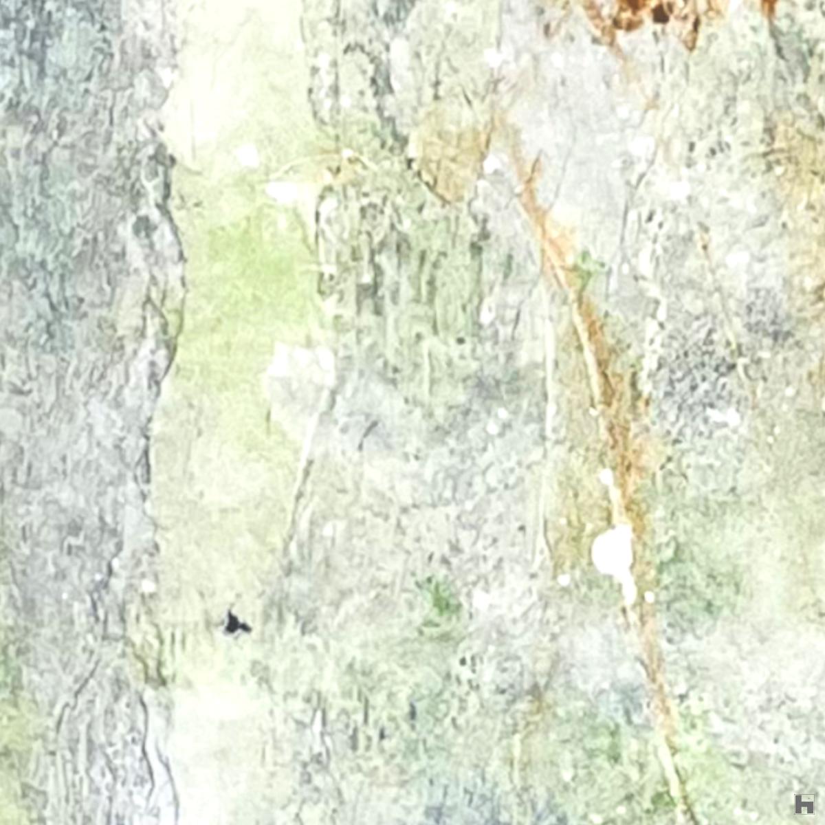 detail 1 avatar 3