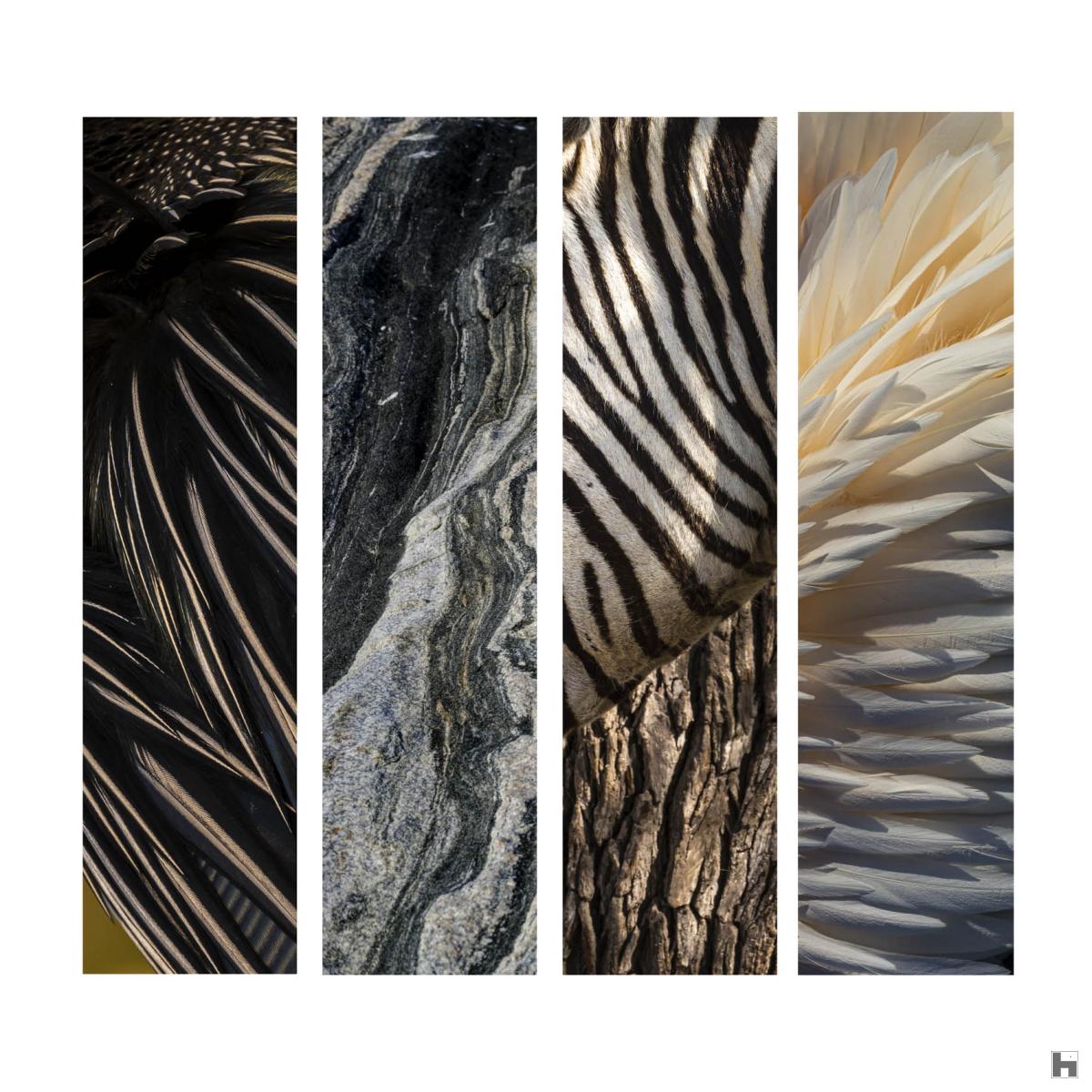 African feathers - composition de 4 verticalités qui vous emmène dans les terres lointaines de l'Afrique