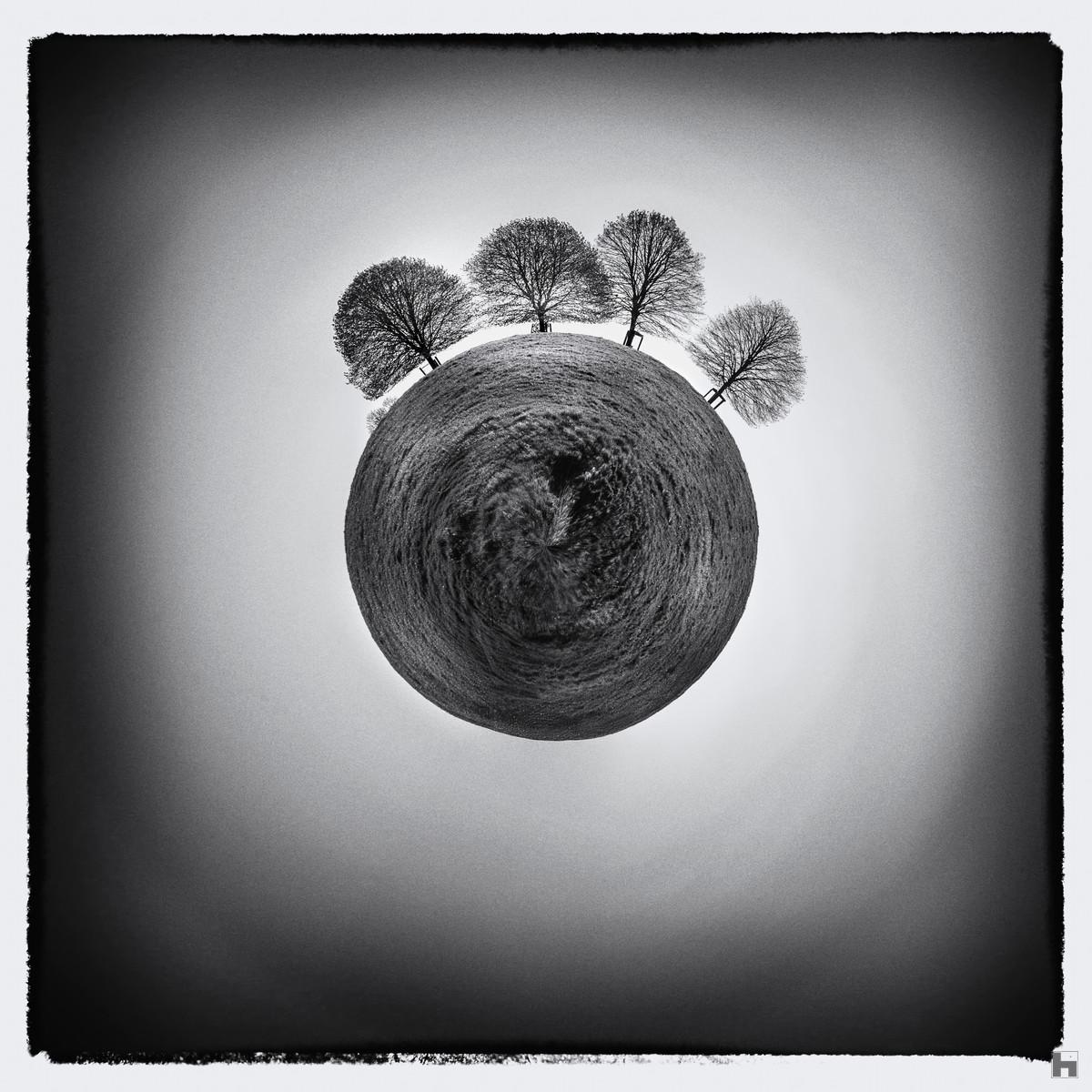 Photographie artistique de Paul Marnef – cinq arbres penchés sur une planète circulaire dans un paysage silencieux et méditatif, tirage en édition limitée
