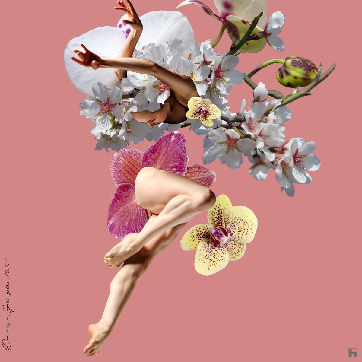 collage, mouvement, métamorphose