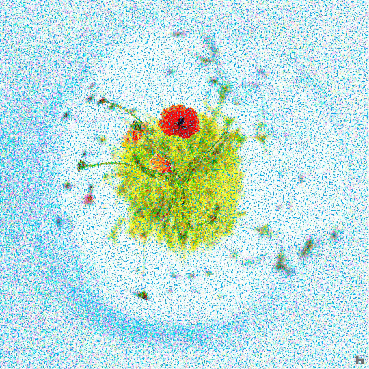 photo de type mini planète d'un cocquelicot en pointillisme