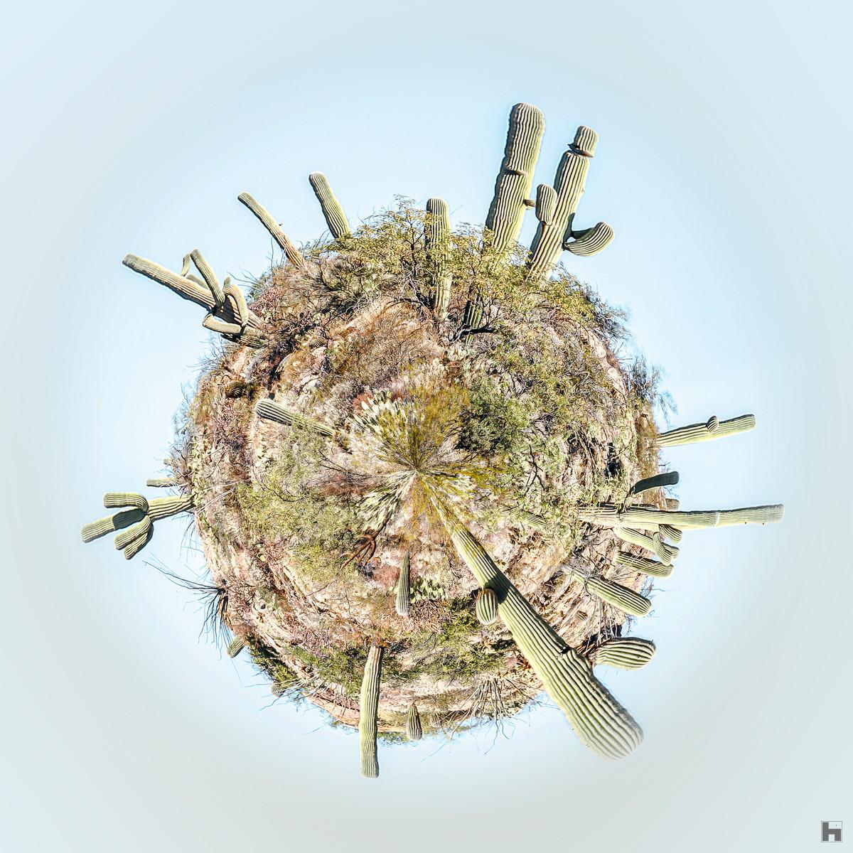 Œuvre intitulée "Monde Aride" de Paul Marnef, montrant une planète sphérique couverte de cactus dans un environnement désertique.