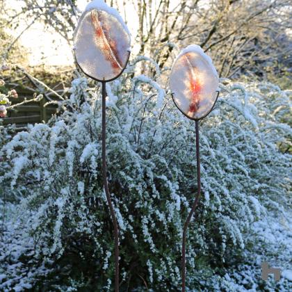 Scarifications, light and snow