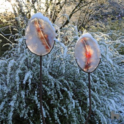 Scarifications in the snow and the magic of light