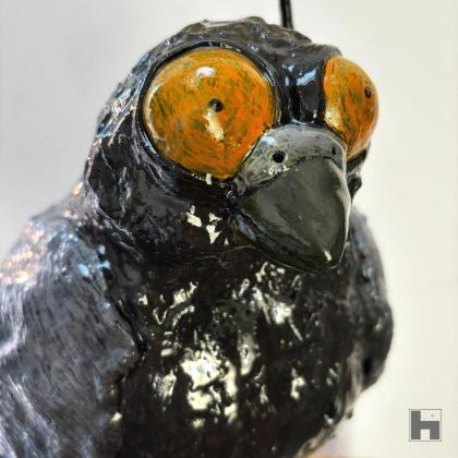 Les colombes sacrées ne sont que des Pigeons glorifiés!