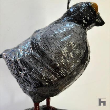 Les colombes sacrées ne sont que des Pigeons glorifiés!