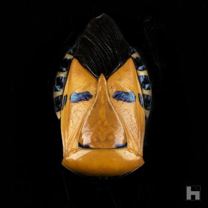 Insectum - Le masque