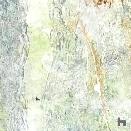 detail 1 avatar 3